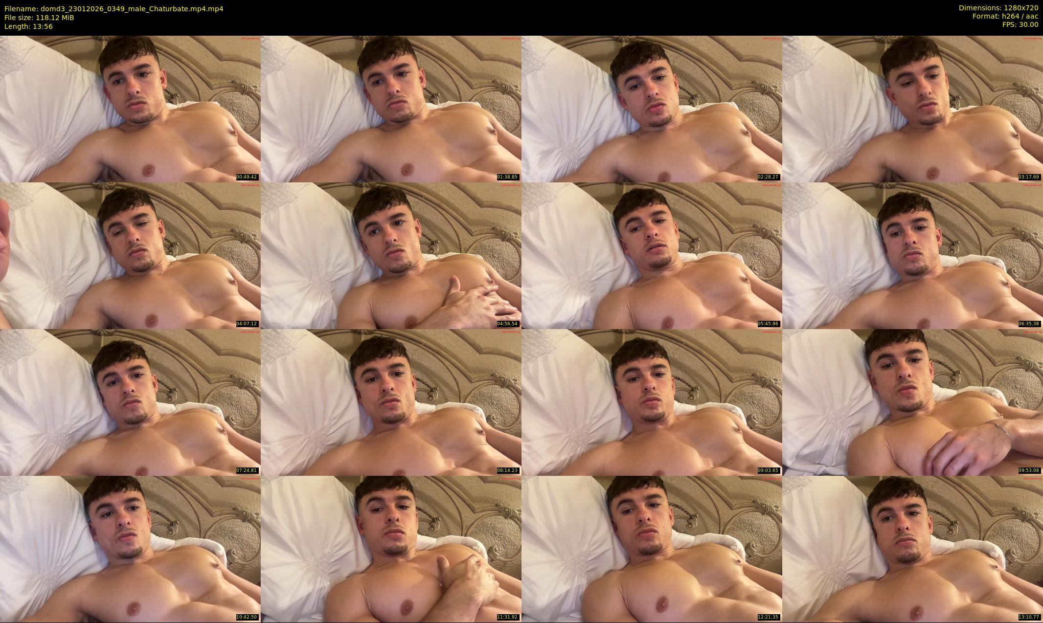 domd3 — 14 minute Chaturbate male cam show recording, 720p, Jan 23, 2026