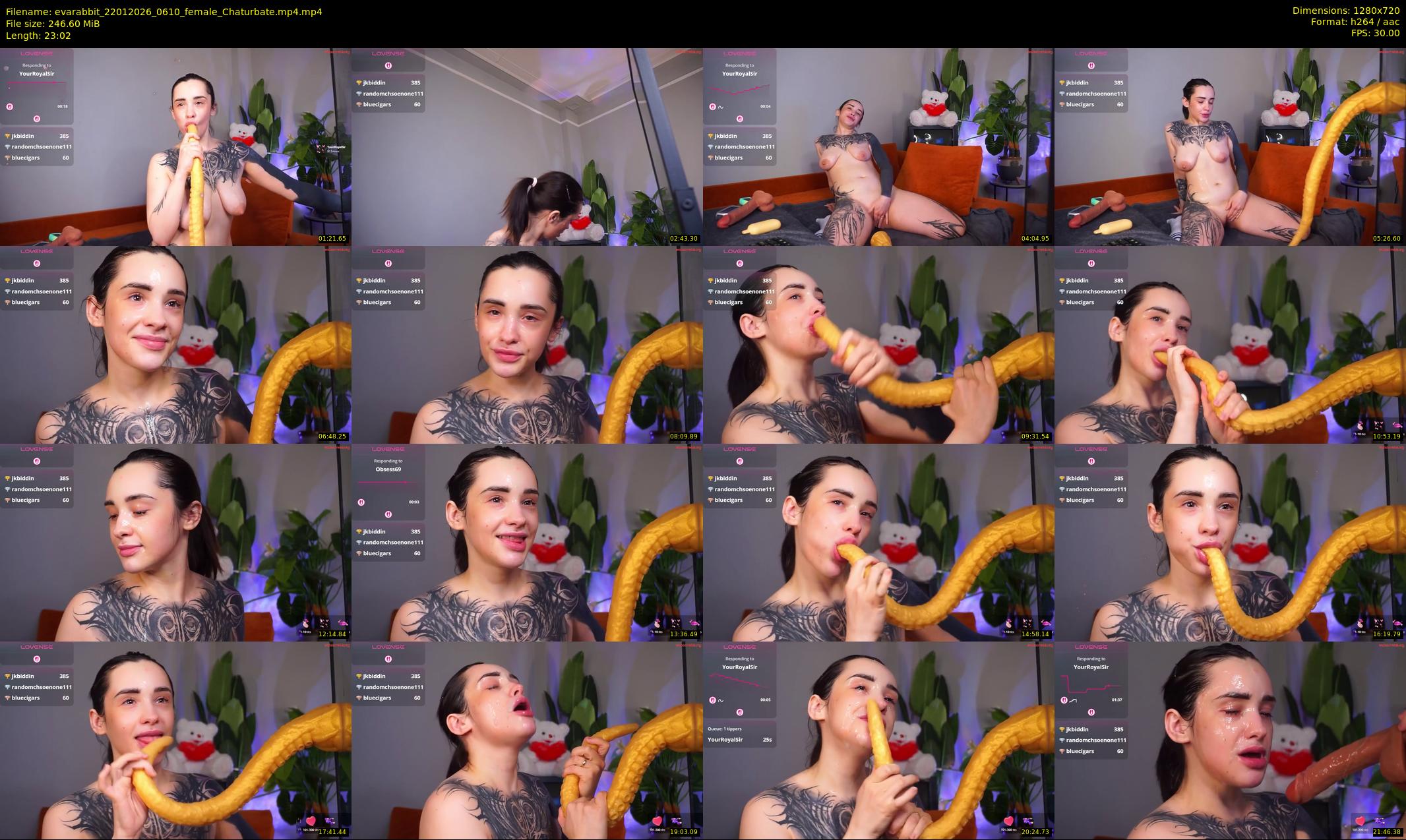 evarabbit — 24 minute Chaturbate female cam show recording, 720p, Jan 22, 2026
