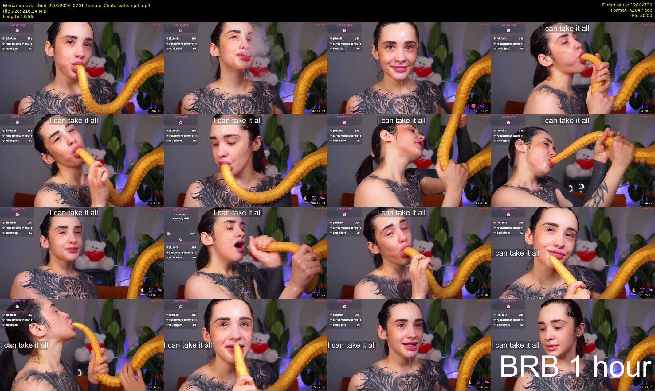 evarabbit — 19 minute Chaturbate female cam show recording, 720p, Jan 22, 2026