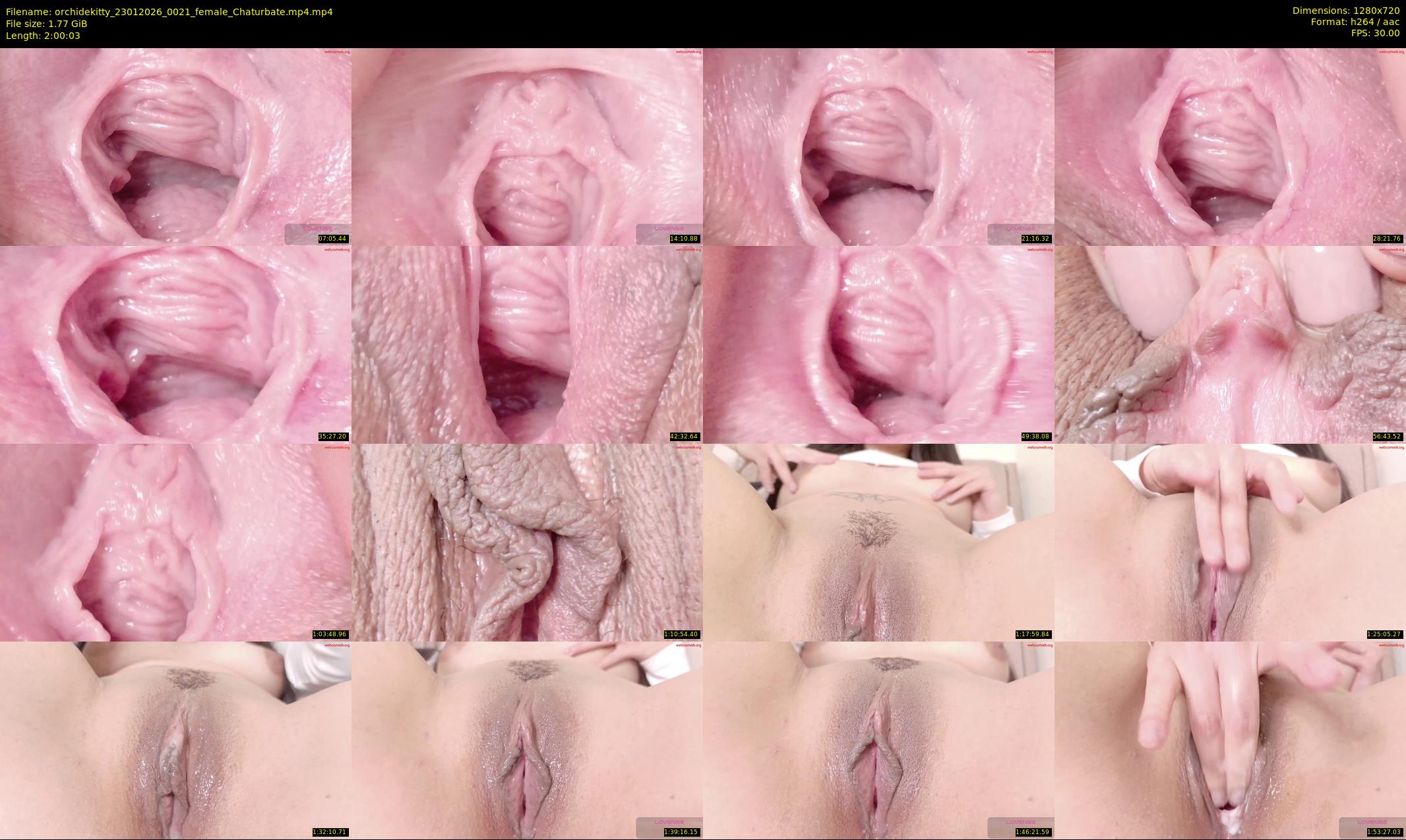 orchidekitty — 121 minute Chaturbate female cam show recording, 720p, Jan 23, 2026