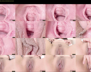 orchidekitty — 121 minute Chaturbate female cam show recording, 720p, Jan 23, 2026