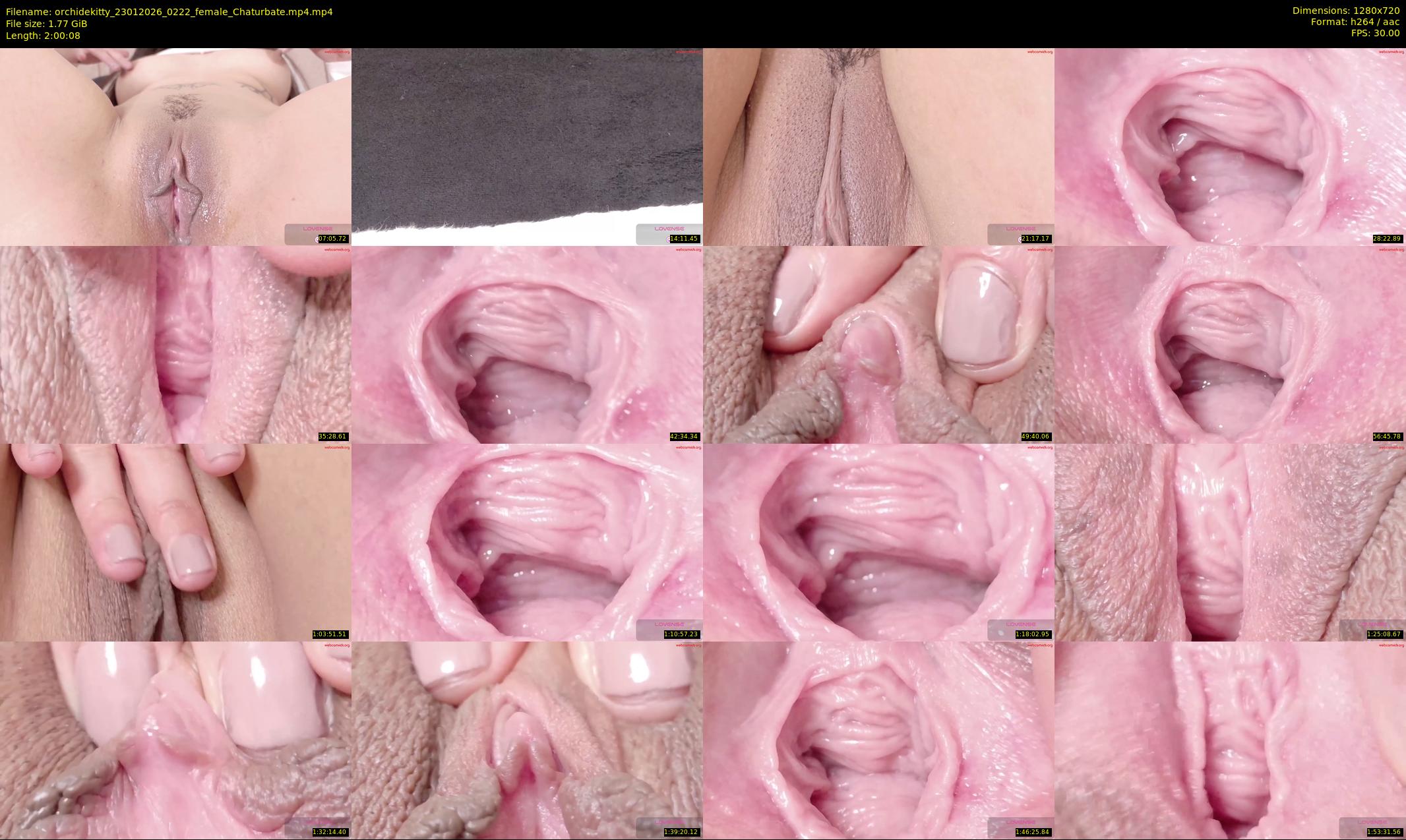 orchidekitty — 121 minute Chaturbate female cam show recording, 720p, Jan 23, 2026