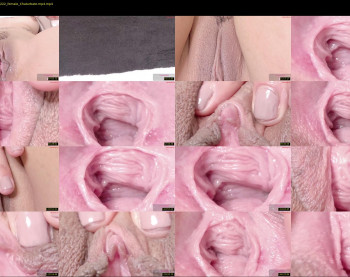 orchidekitty — 121 minute Chaturbate female cam show recording, 720p, Jan 23, 2026