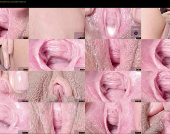 orchidekitty — 121 minute Chaturbate female cam show recording, 720p, Jan 23, 2026