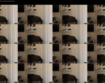inamate93 — 5 minute Chaturbate male cam show recording, 720p, Jan 23, 2026