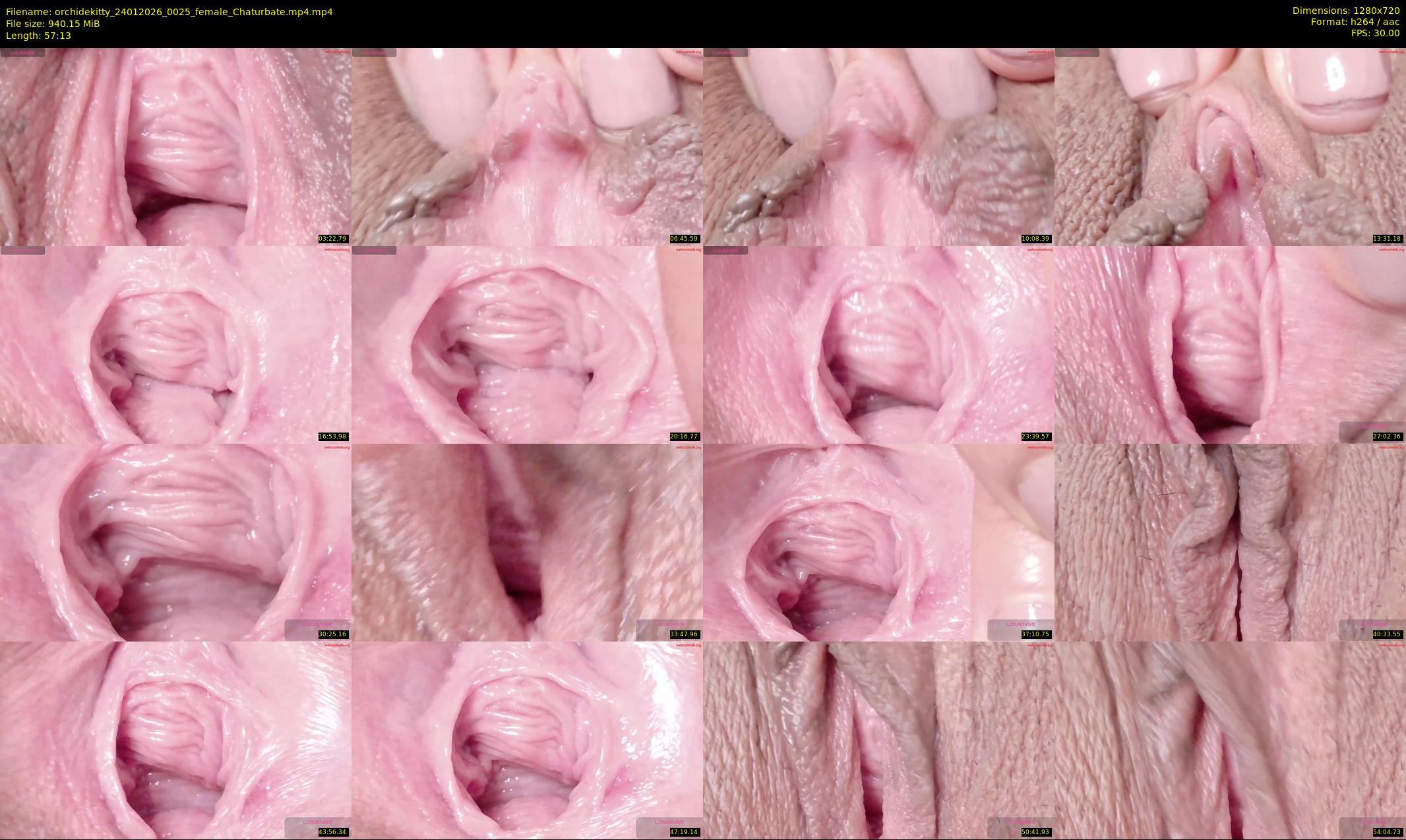 orchidekitty — 58 minute Chaturbate female cam show recording, 720p, Jan 24, 2026