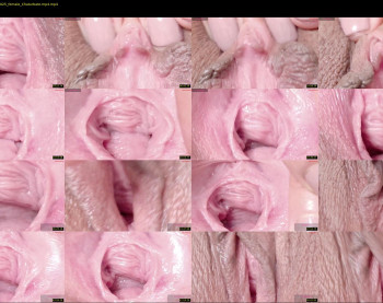 orchidekitty — 58 minute Chaturbate female cam show recording, 720p, Jan 24, 2026