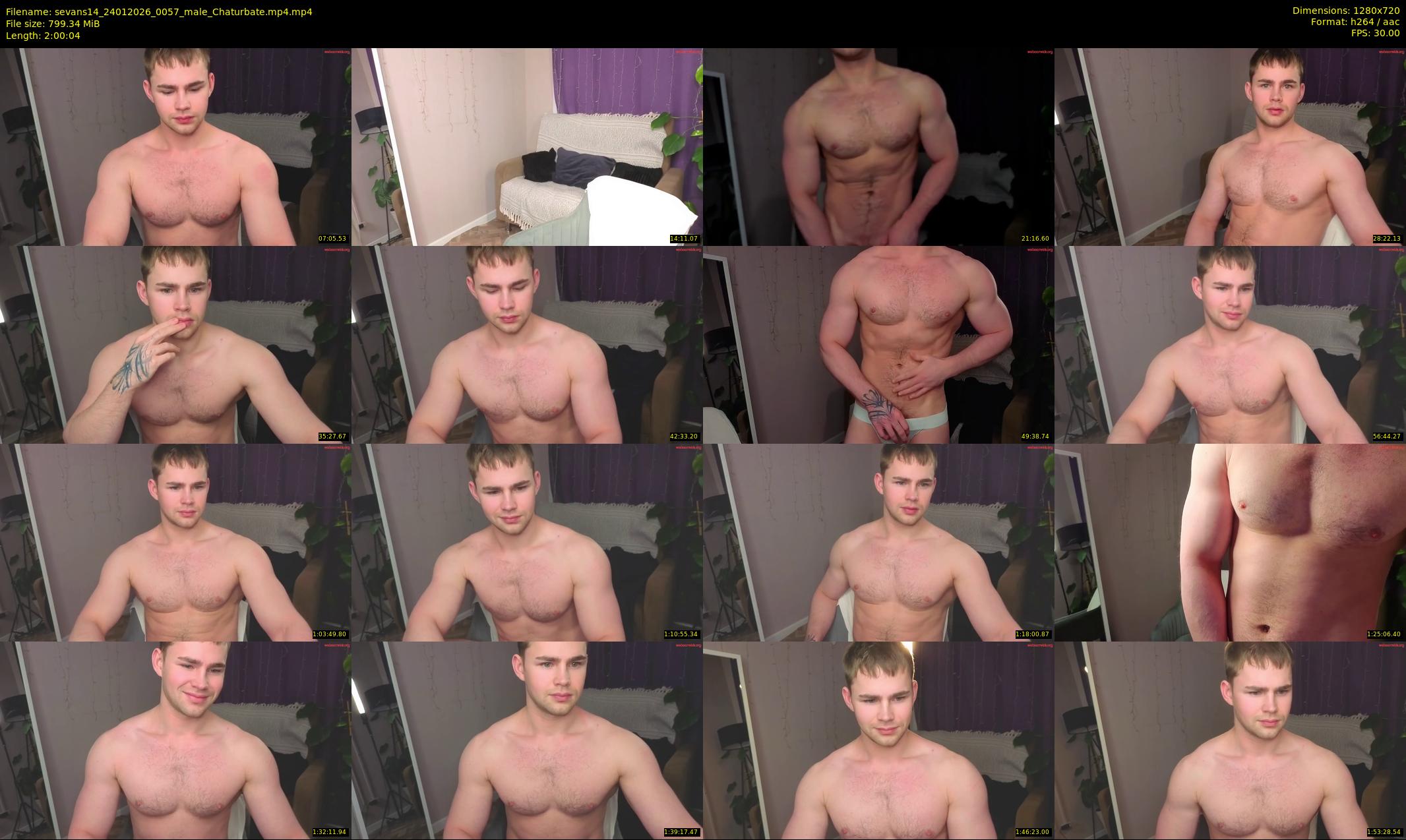 sevans14 — 121 minute Chaturbate male cam show recording, 720p, Jan 24, 2026