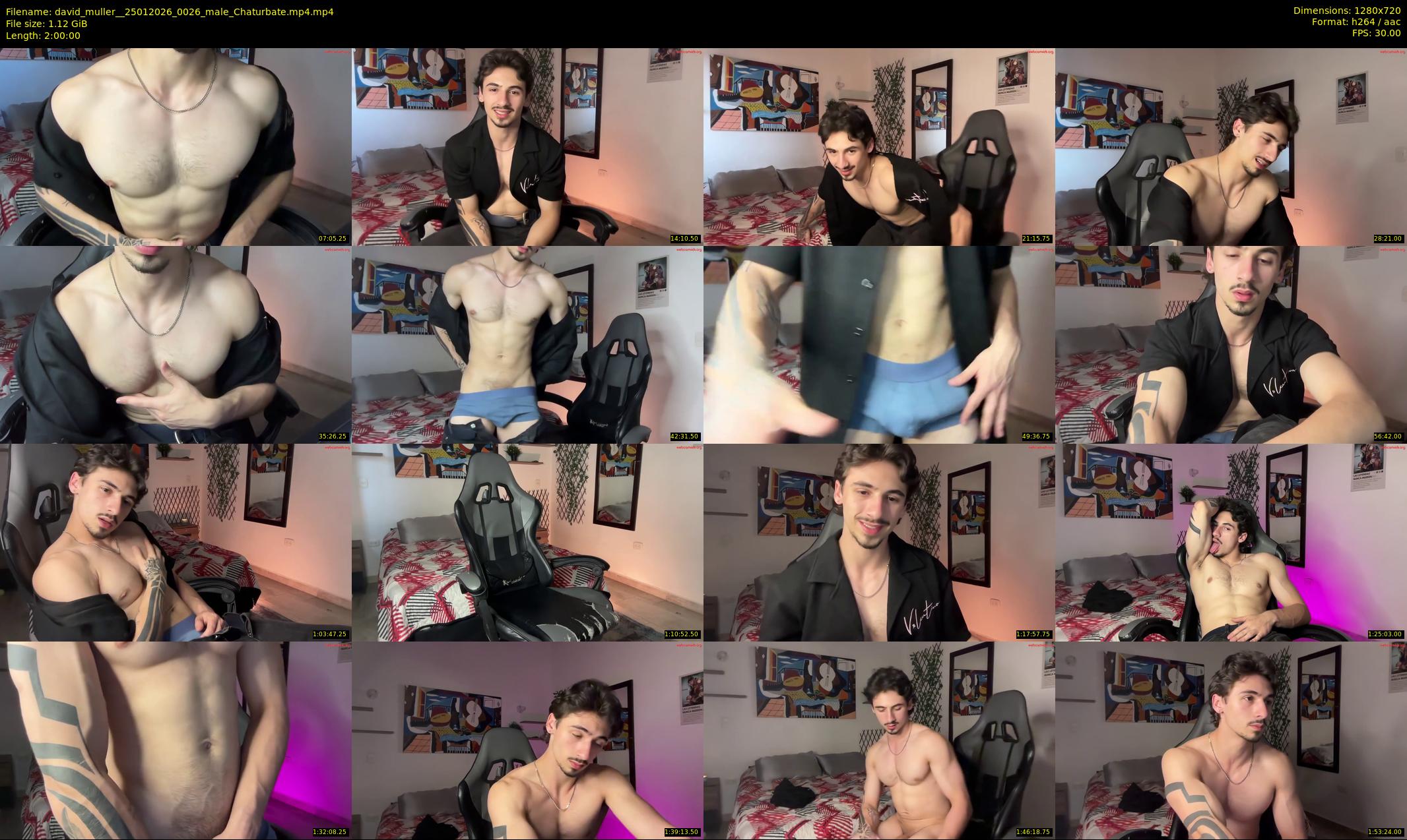david_muller_ — 120 minute Chaturbate male cam show recording, 720p, Jan 25, 2026