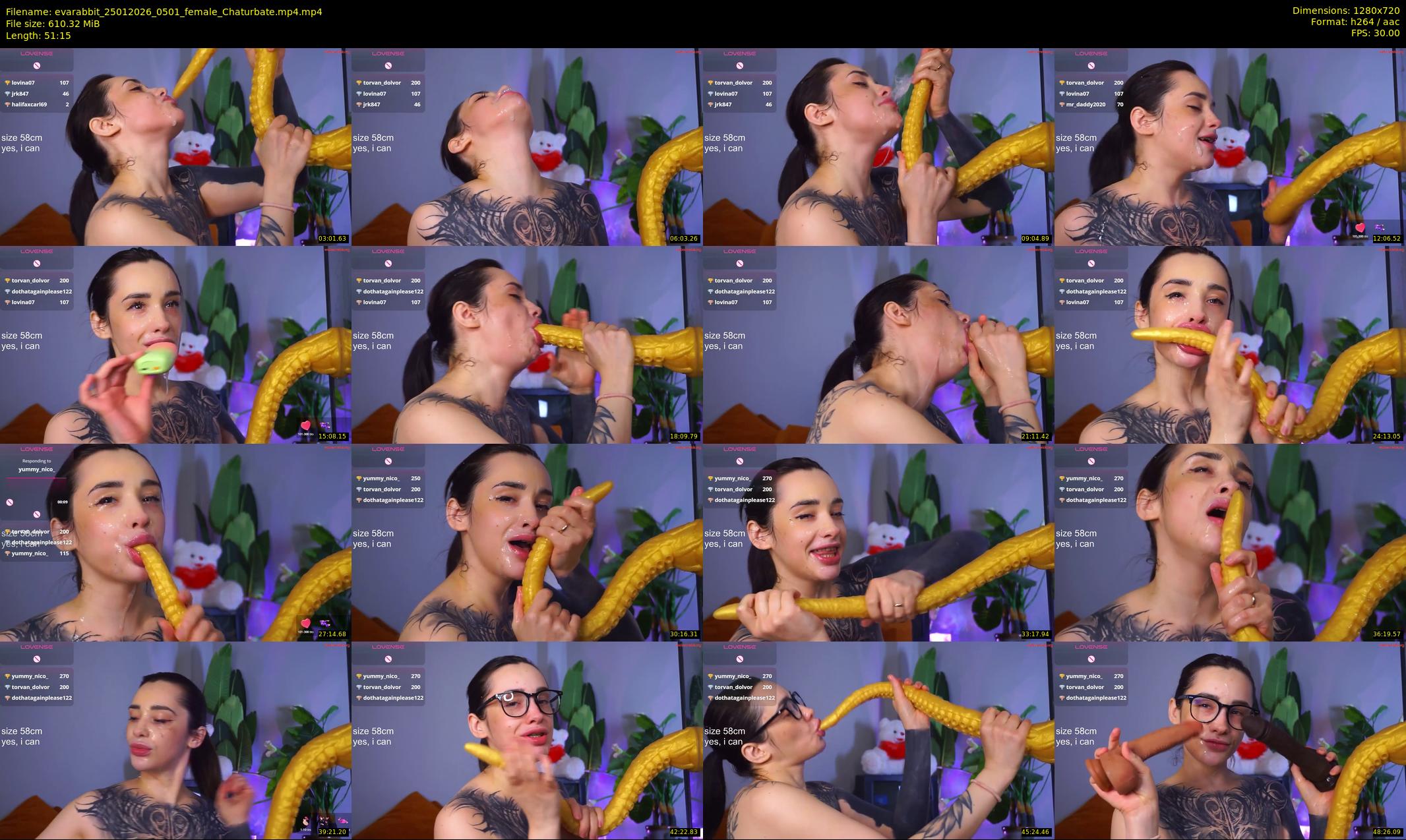 evarabbit — 52 minute Chaturbate female cam show recording, 720p, Jan 25, 2026