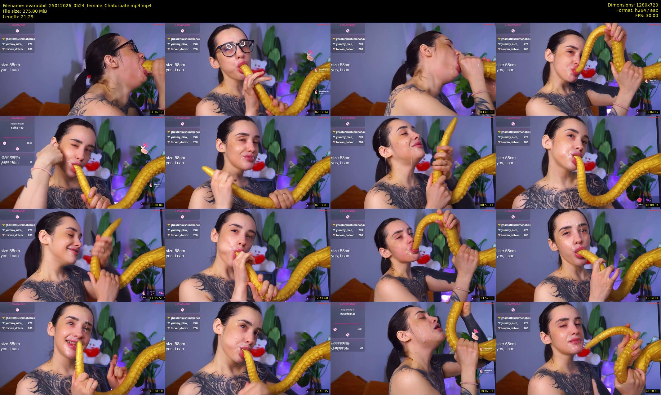 evarabbit — 22 minute Chaturbate female cam show recording, 720p, Jan 25, 2026