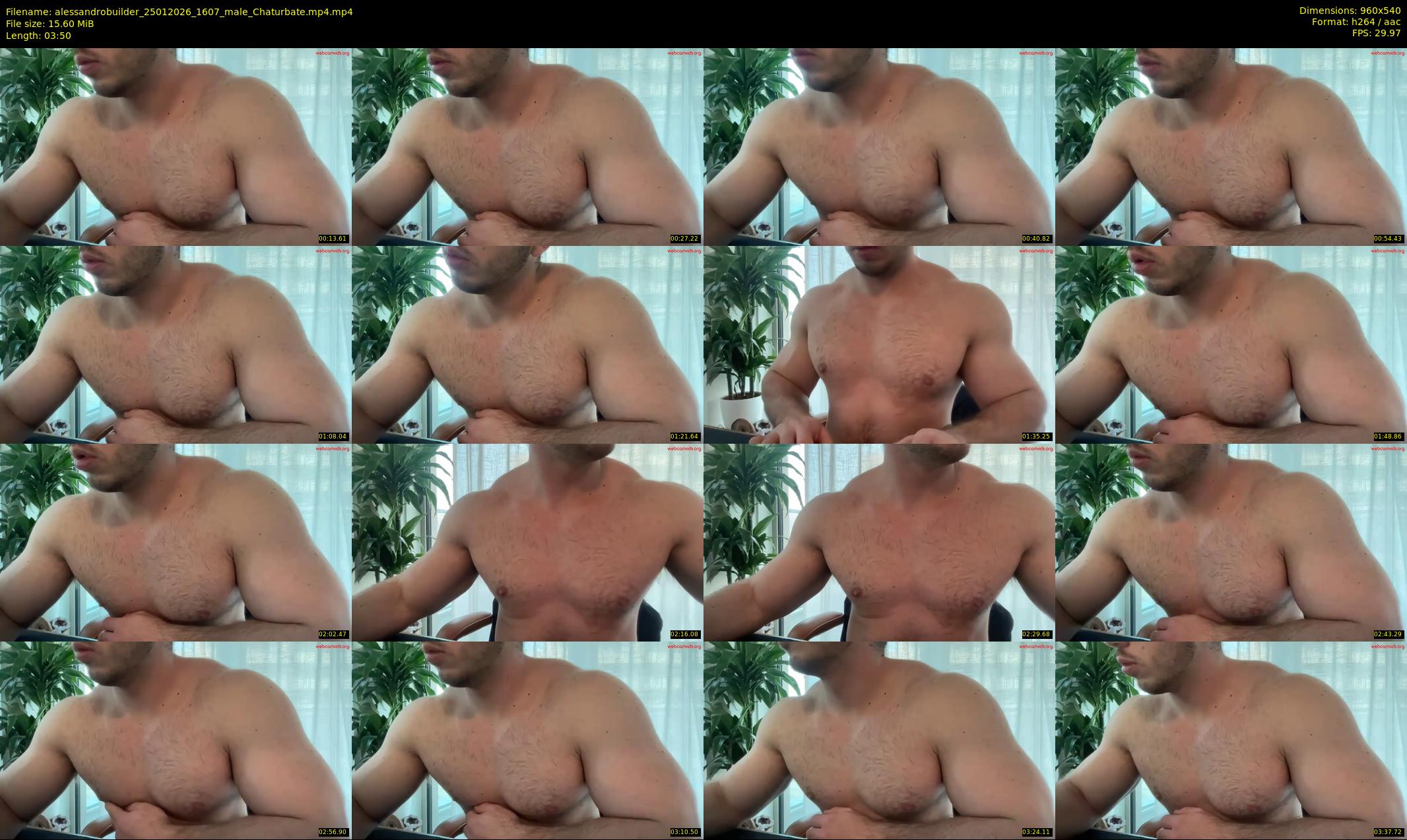 alessandrobuilder — 4 minute Chaturbate couple cam show recording, 480p, Jan 25, 2026