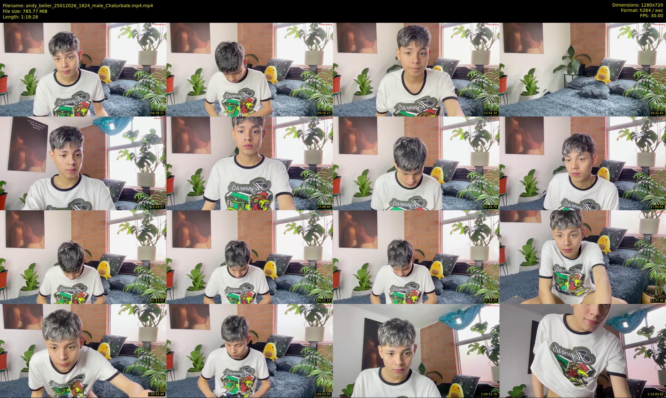 andy_belier — 79 minute Chaturbate male cam show recording, 720p, Jan 25, 2026