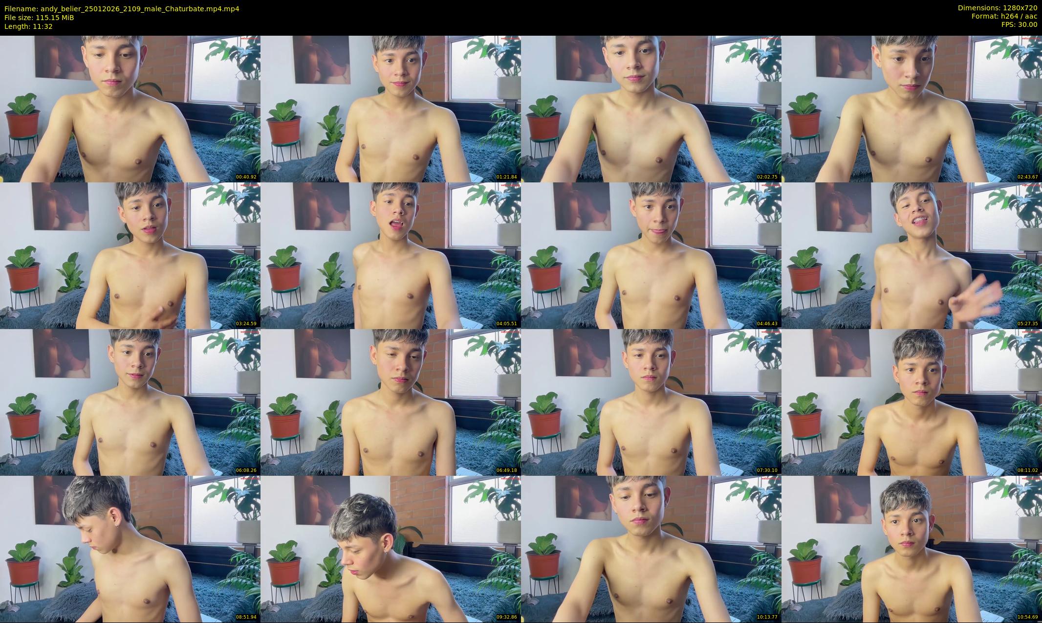 andy_belier — 12 minute Chaturbate male cam show recording, 720p, Jan 25, 2026