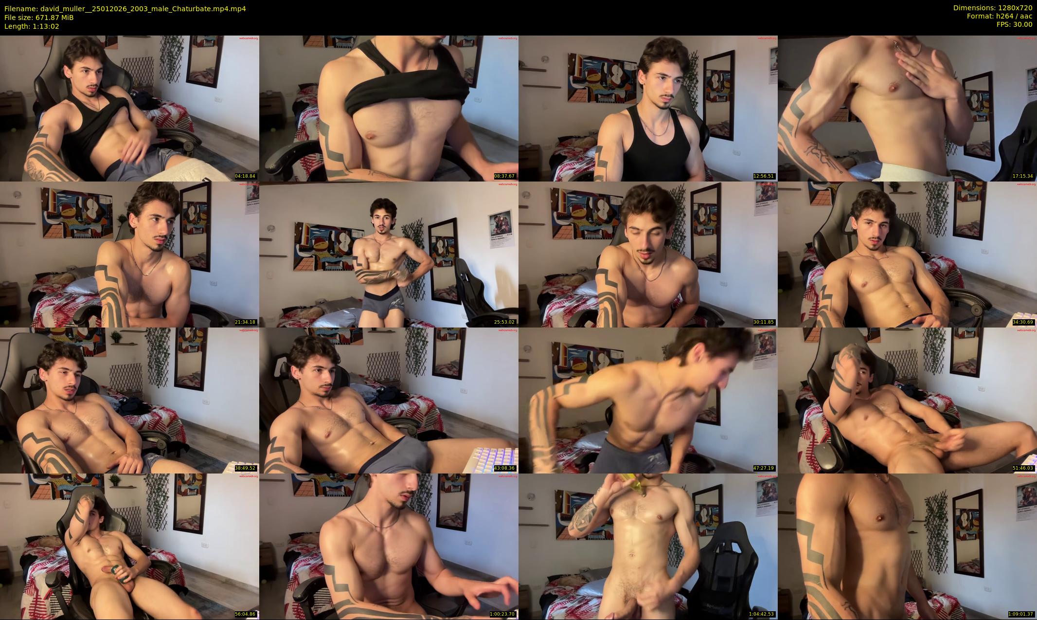 david_muller_ — 74 minute Chaturbate male cam show recording, 720p, Jan 25, 2026