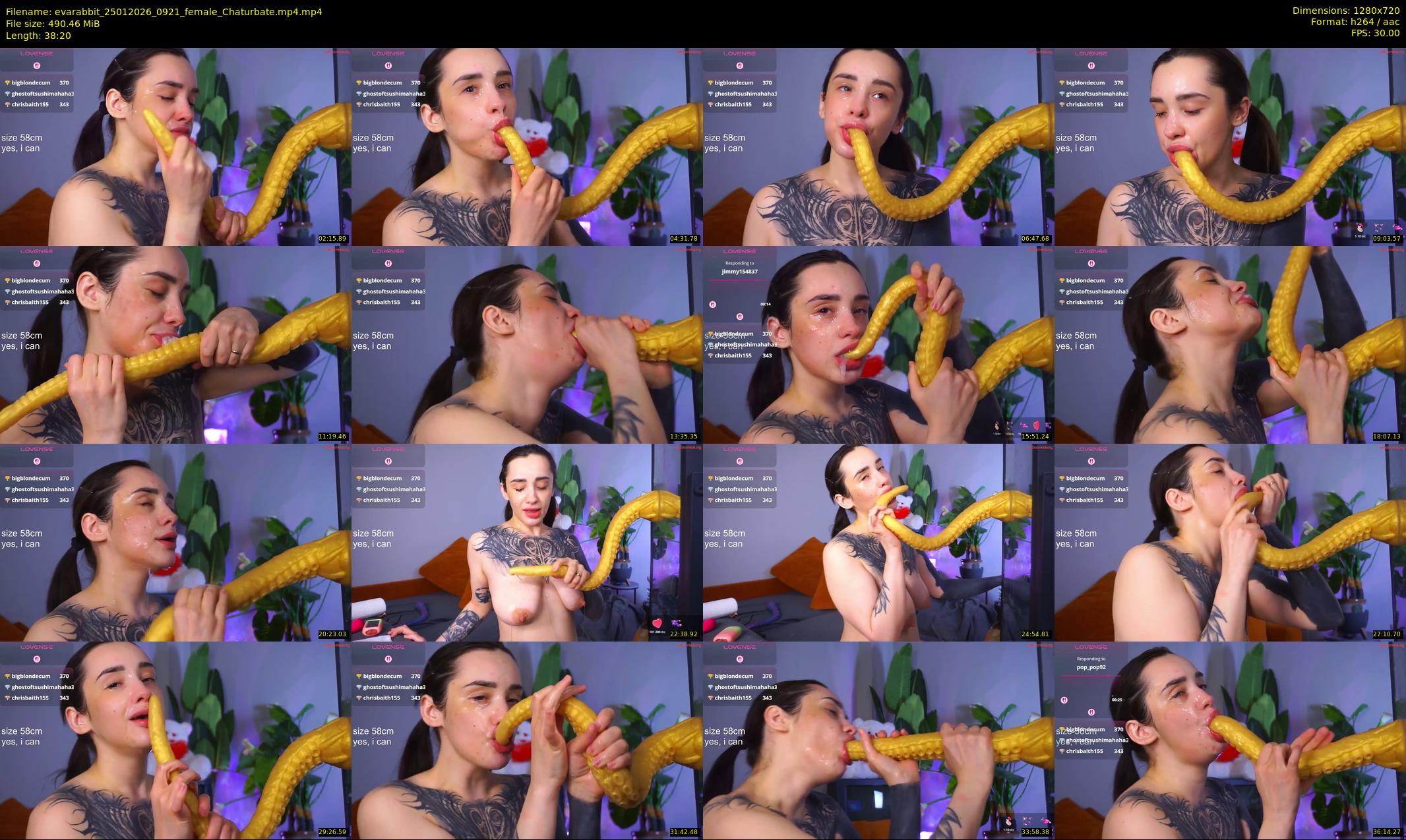 evarabbit — 39 minute Chaturbate female cam show recording, 720p, Jan 25, 2026