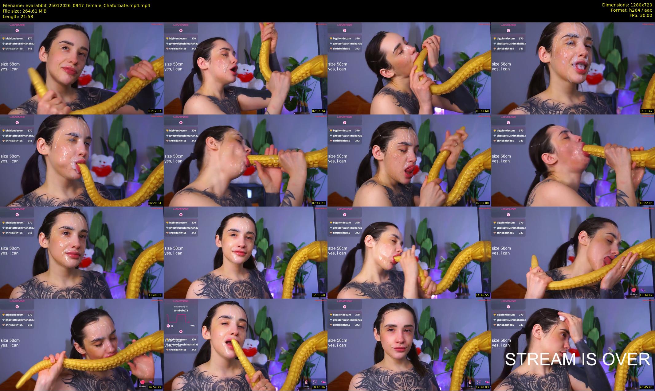 evarabbit — 22 minute Chaturbate female cam show recording, 720p, Jan 25, 2026
