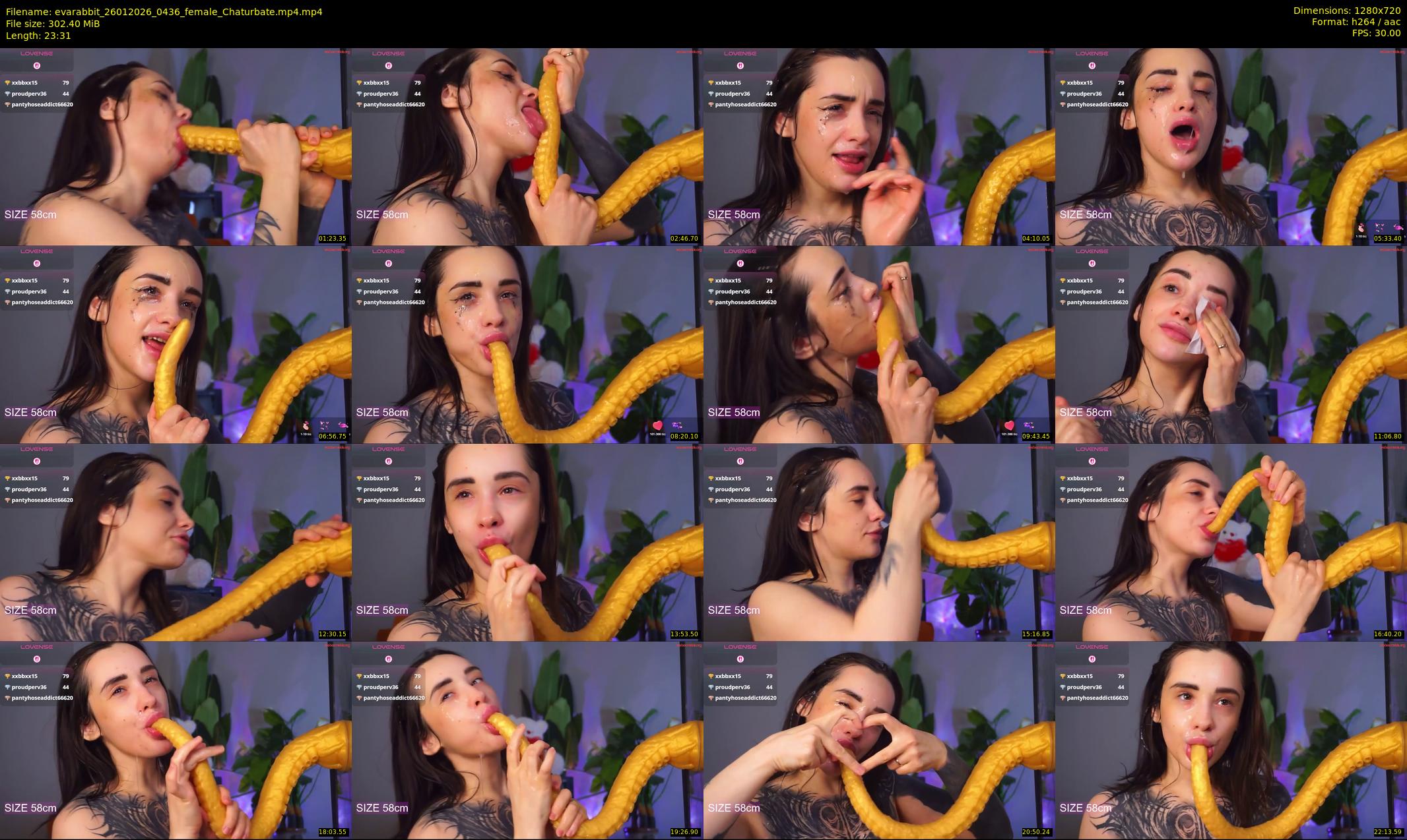evarabbit — 24 minute Chaturbate female cam show recording, 720p, Jan 26, 2026