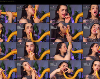 evarabbit — 24 minute Chaturbate female cam show recording, 720p, Jan 26, 2026