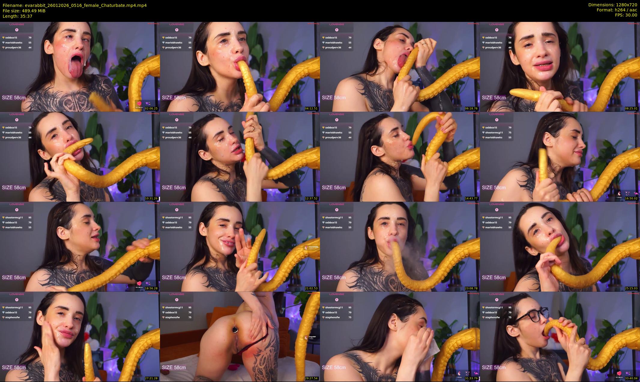 evarabbit — 36 minute Chaturbate female cam show recording, 720p, Jan 26, 2026