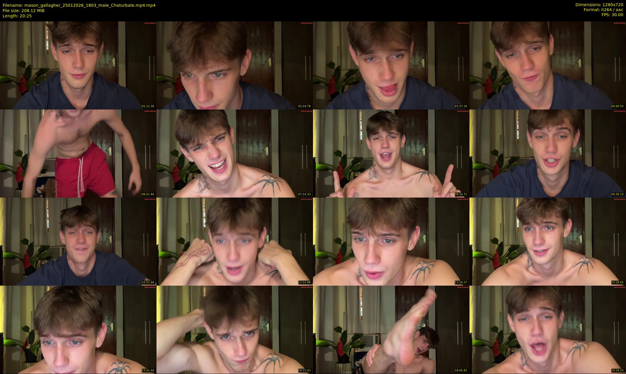 mason_gallagher — 21 minute Chaturbate male cam show recording, 720p, Jan 25, 2026