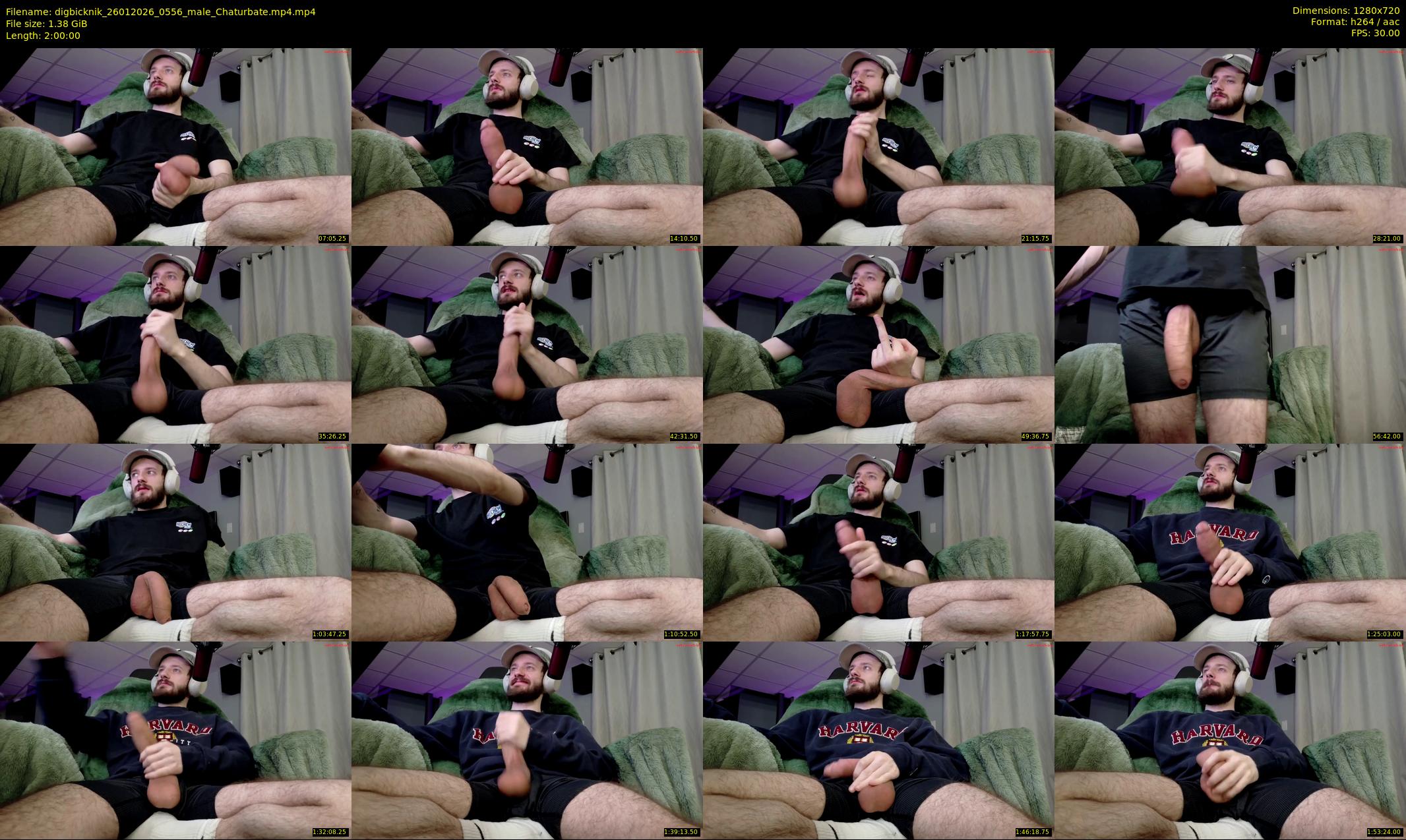 digbicknik — 120 minute Chaturbate male cam show recording, 720p, Jan 26, 2026