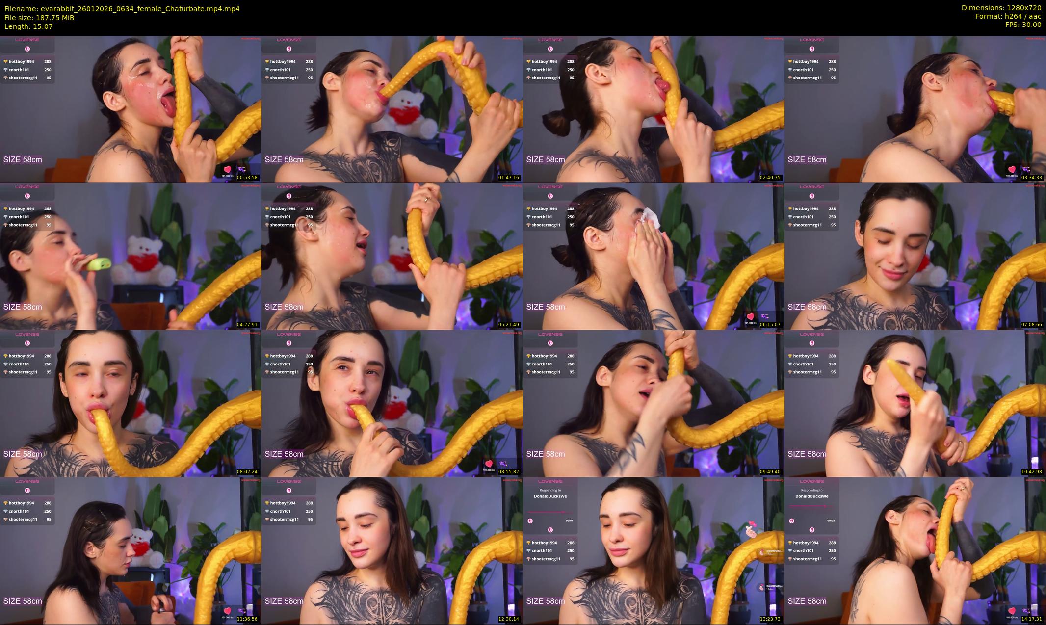 evarabbit — 16 minute Chaturbate female cam show recording, 720p, Jan 26, 2026