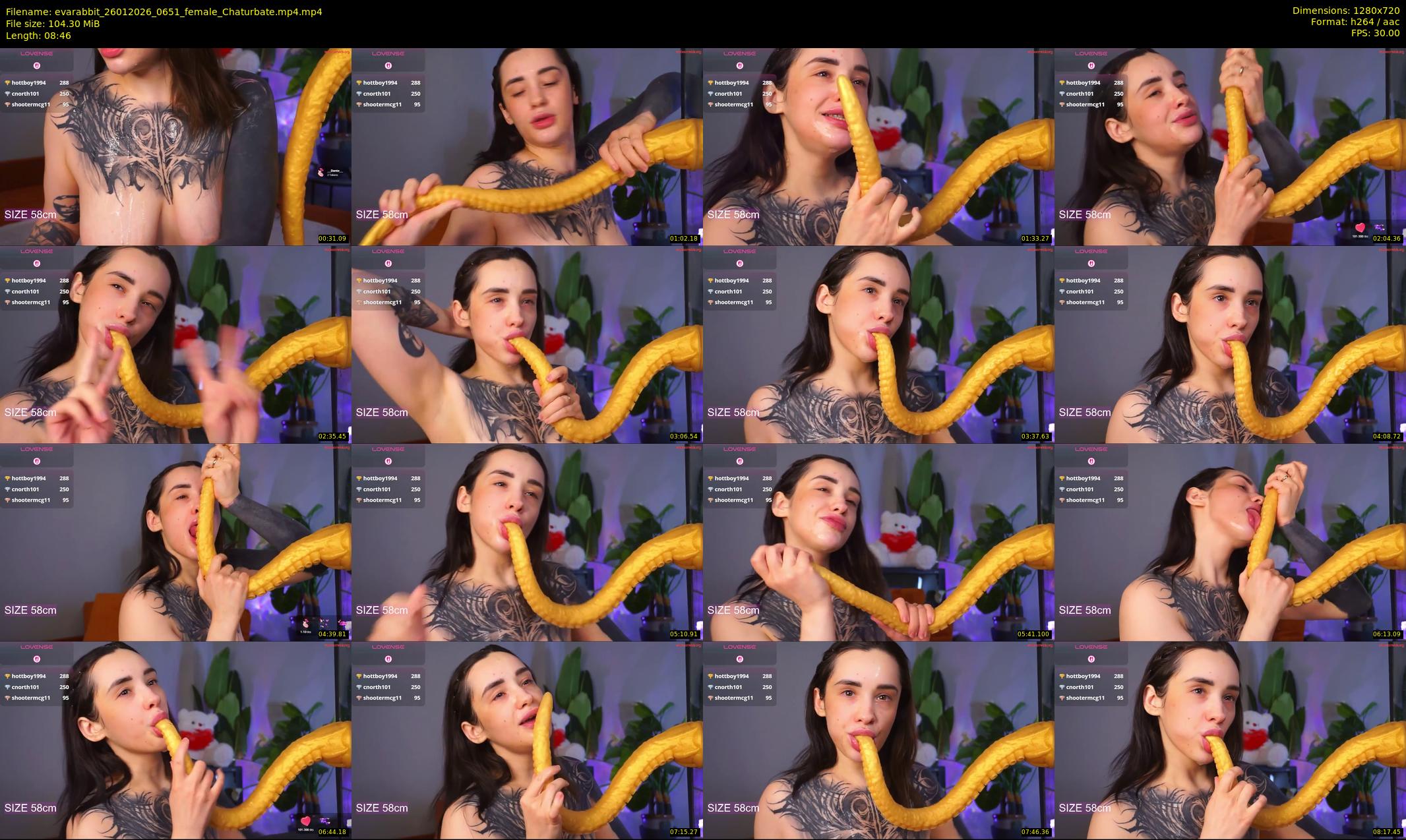 evarabbit — 9 minute Chaturbate female cam show recording, 720p, Jan 26, 2026