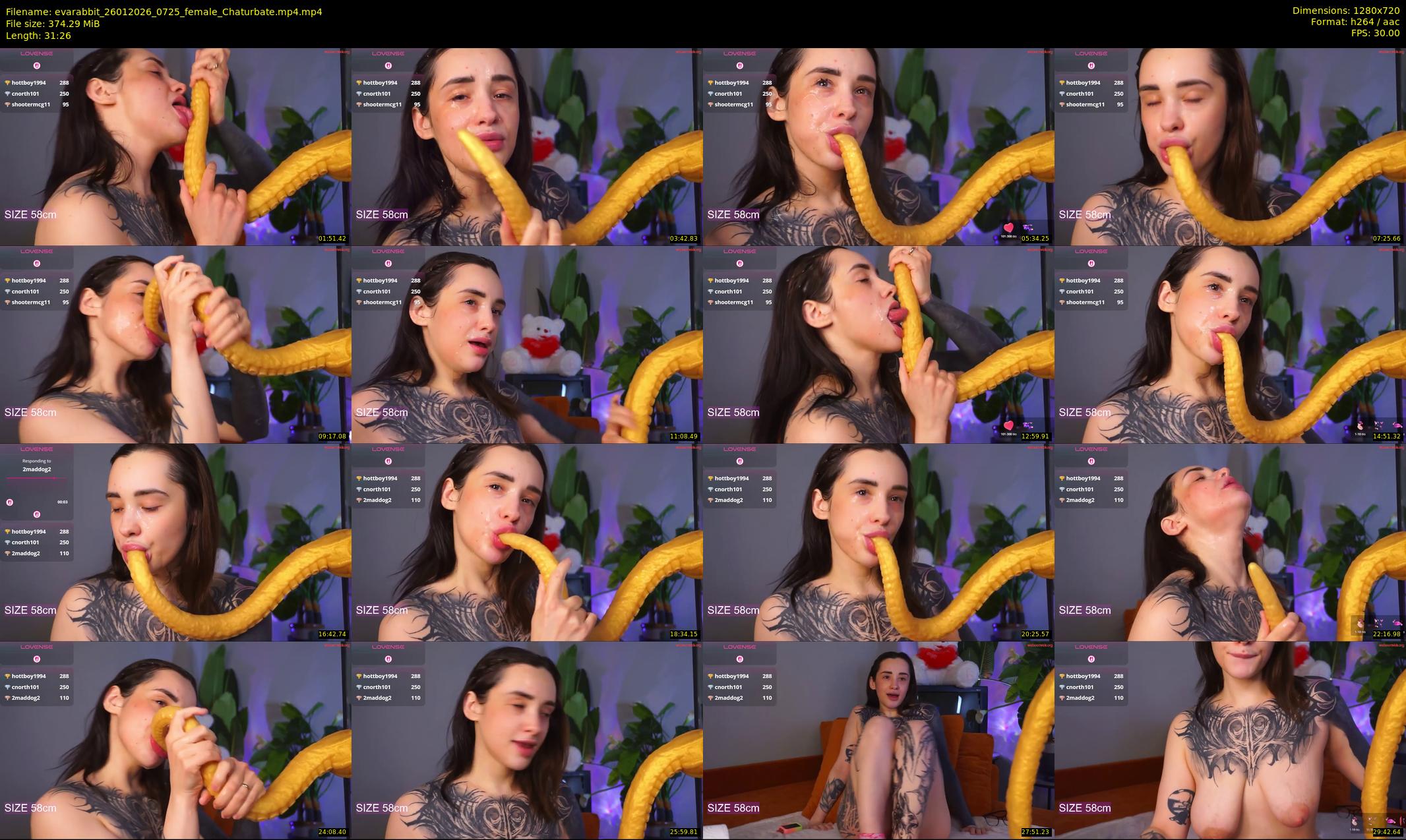 evarabbit — 32 minute Chaturbate female cam show recording, 720p, Jan 26, 2026