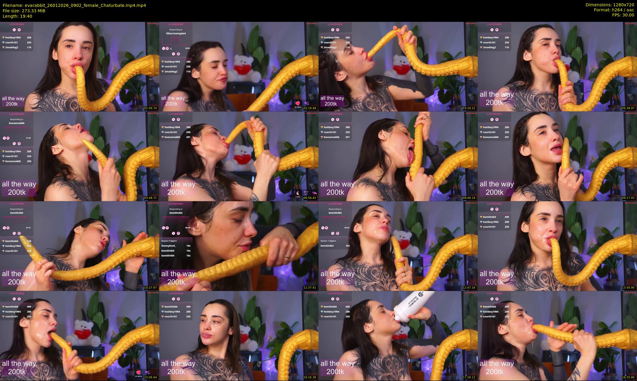 evarabbit — 20 minute Chaturbate female cam show recording, 720p, Jan 26, 2026