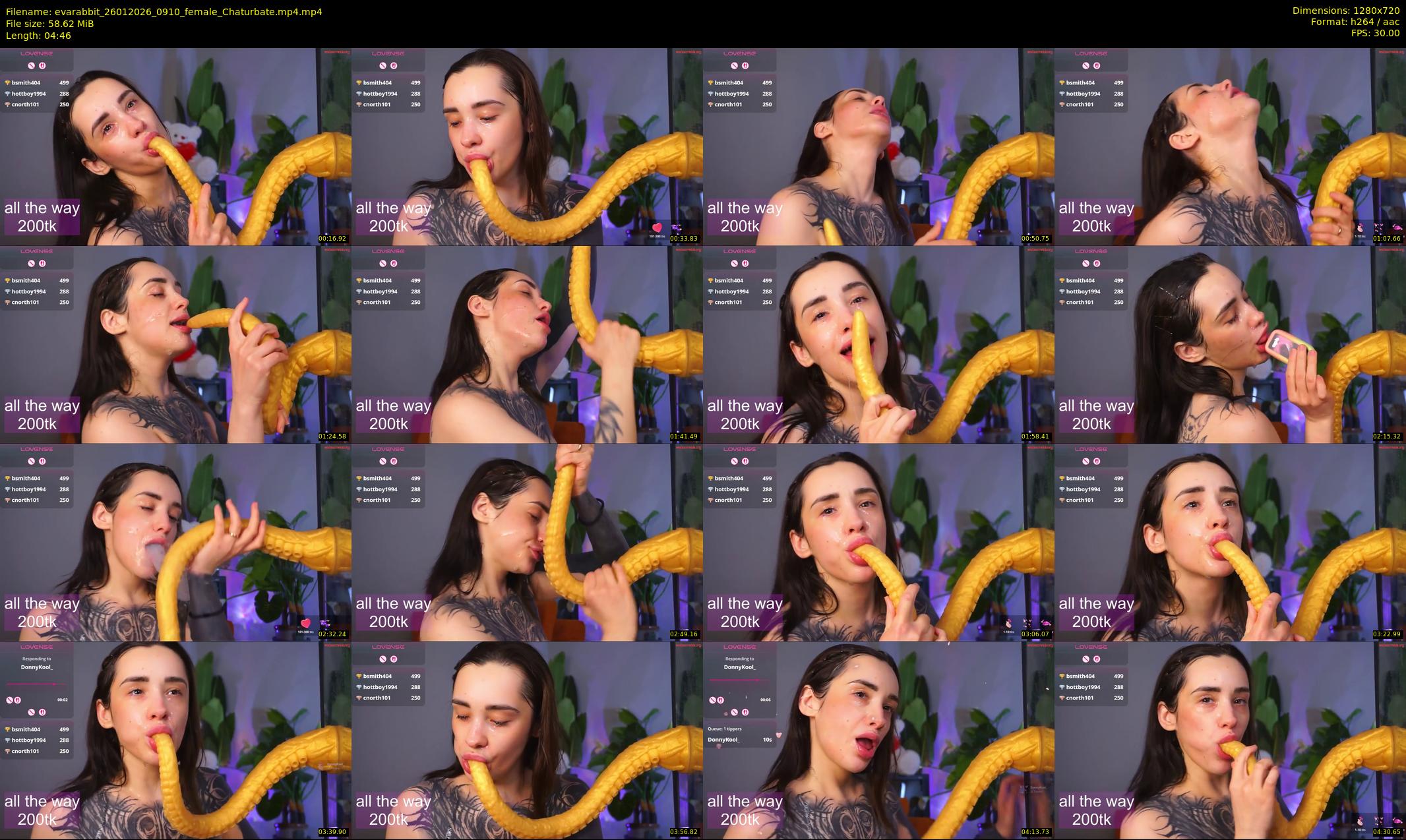 evarabbit — 5 minute Chaturbate female cam show recording, 720p, Jan 26, 2026