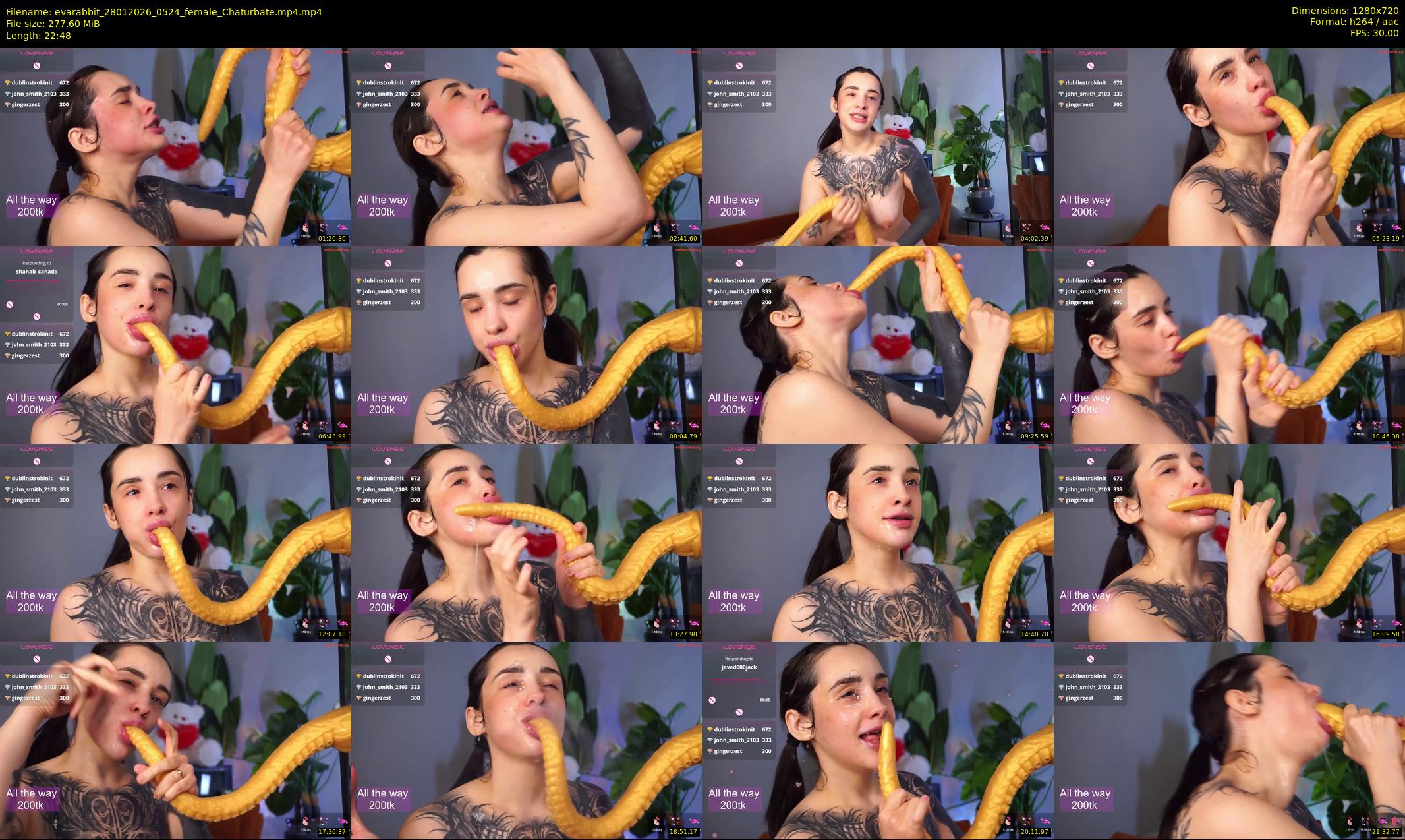 evarabbit — 23 minute Chaturbate female cam show recording, 720p, Jan 28, 2026