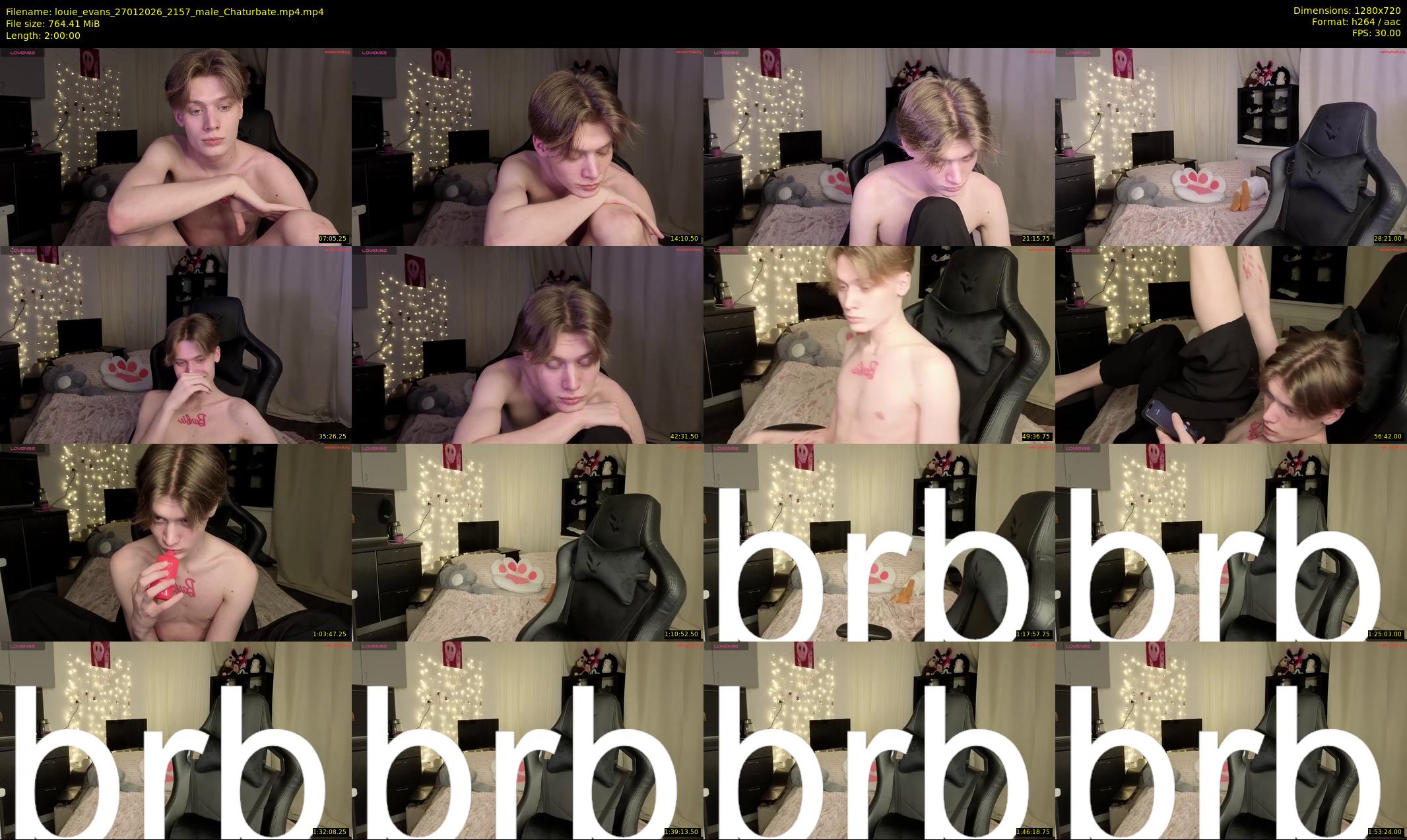 louie_evans — 120 minute Chaturbate male cam show recording, 720p, Jan 27, 2026