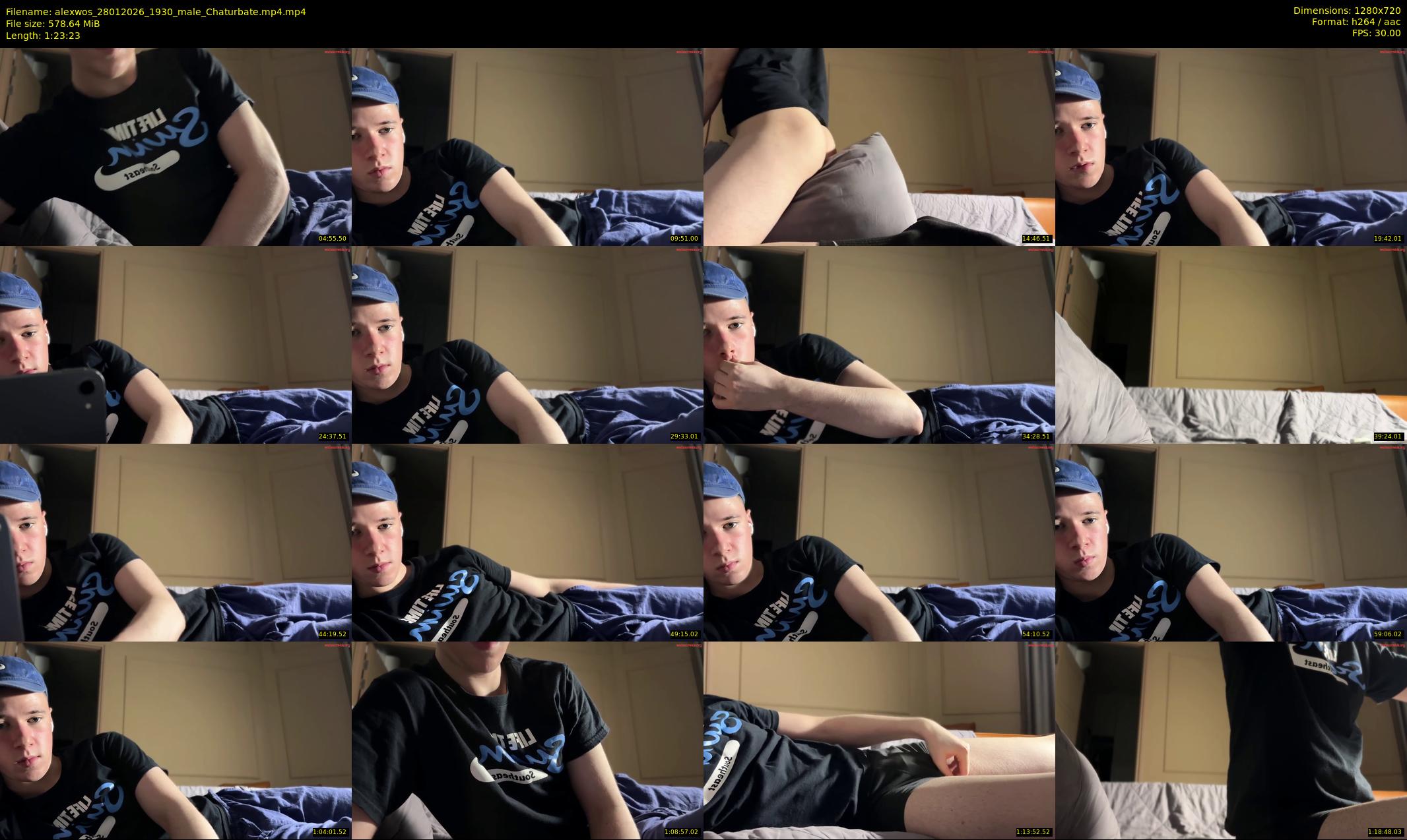 alexwos — 84 minute Chaturbate male cam show recording, 720p, Jan 28, 2026