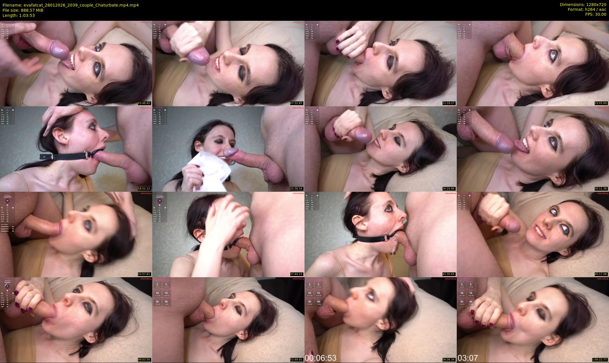 evafatcat — 64 minute Chaturbate couple cam show recording, 720p, Jan 28, 2026