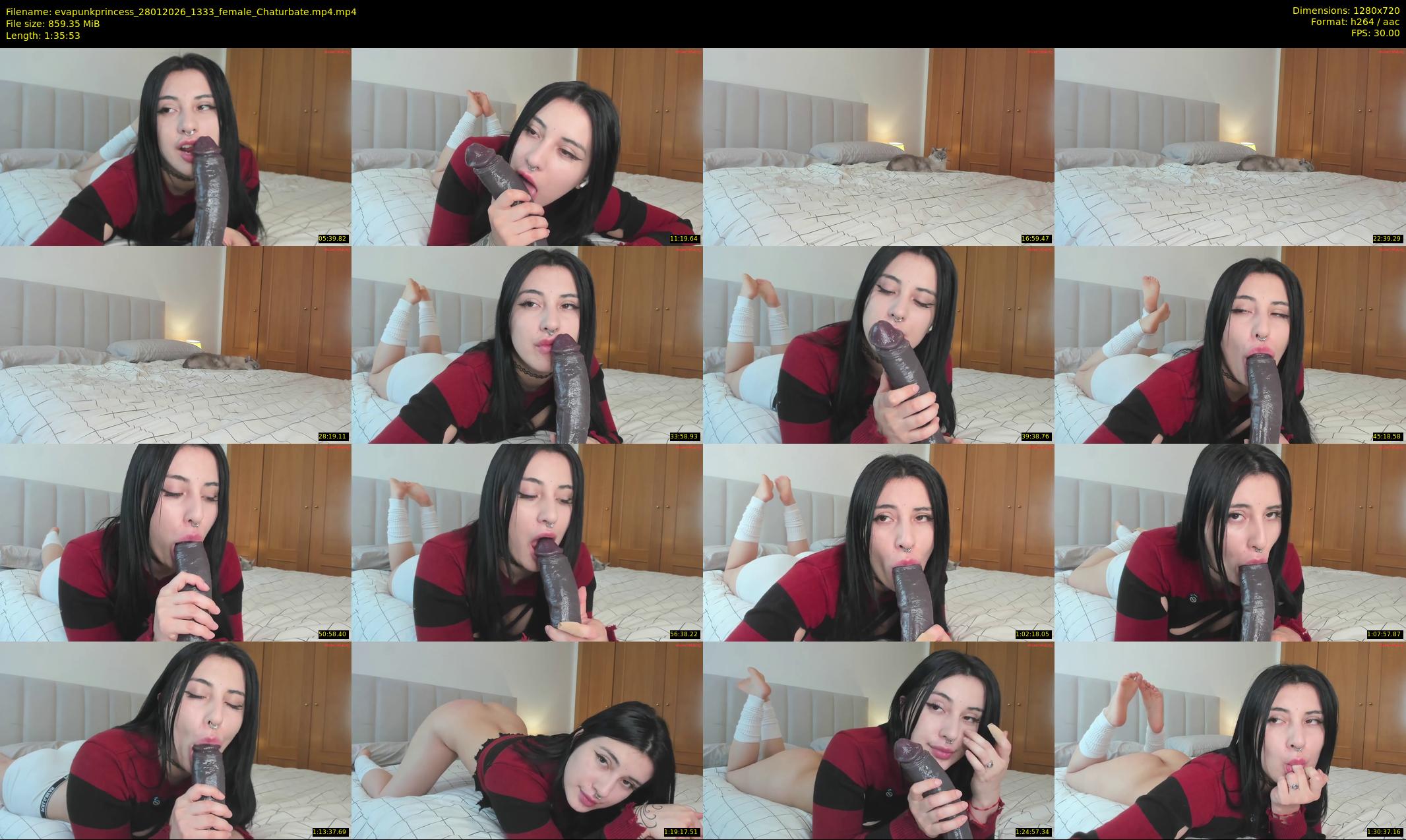 evapunkprincess — 96 minute Chaturbate female cam show recording, 720p, Jan 28, 2026