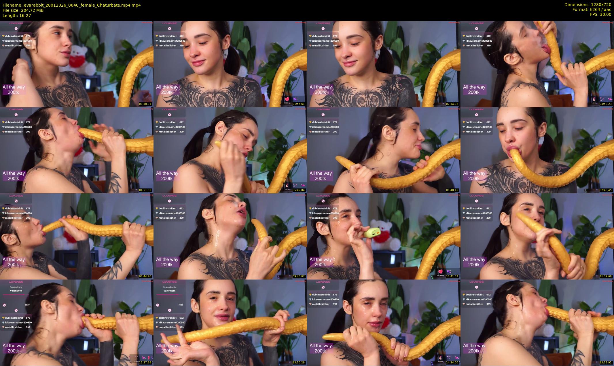evarabbit — 17 minute Chaturbate female cam show recording, 720p, Jan 28, 2026
