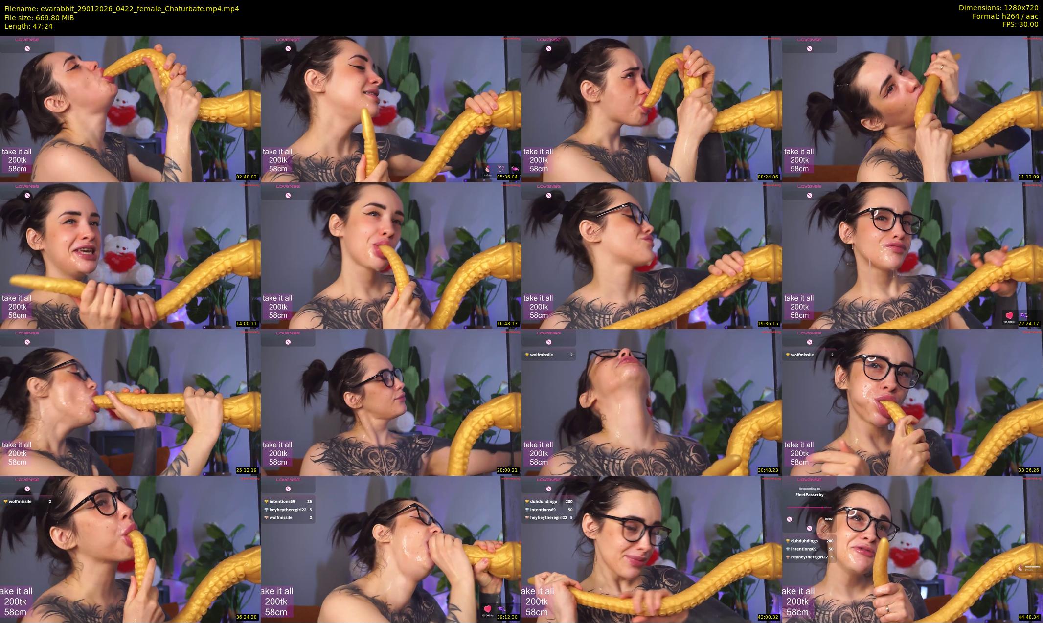 evarabbit — 48 minute Chaturbate female cam show recording, 720p, Jan 29, 2026