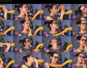 evarabbit — 48 minute Chaturbate female cam show recording, 720p, Jan 29, 2026