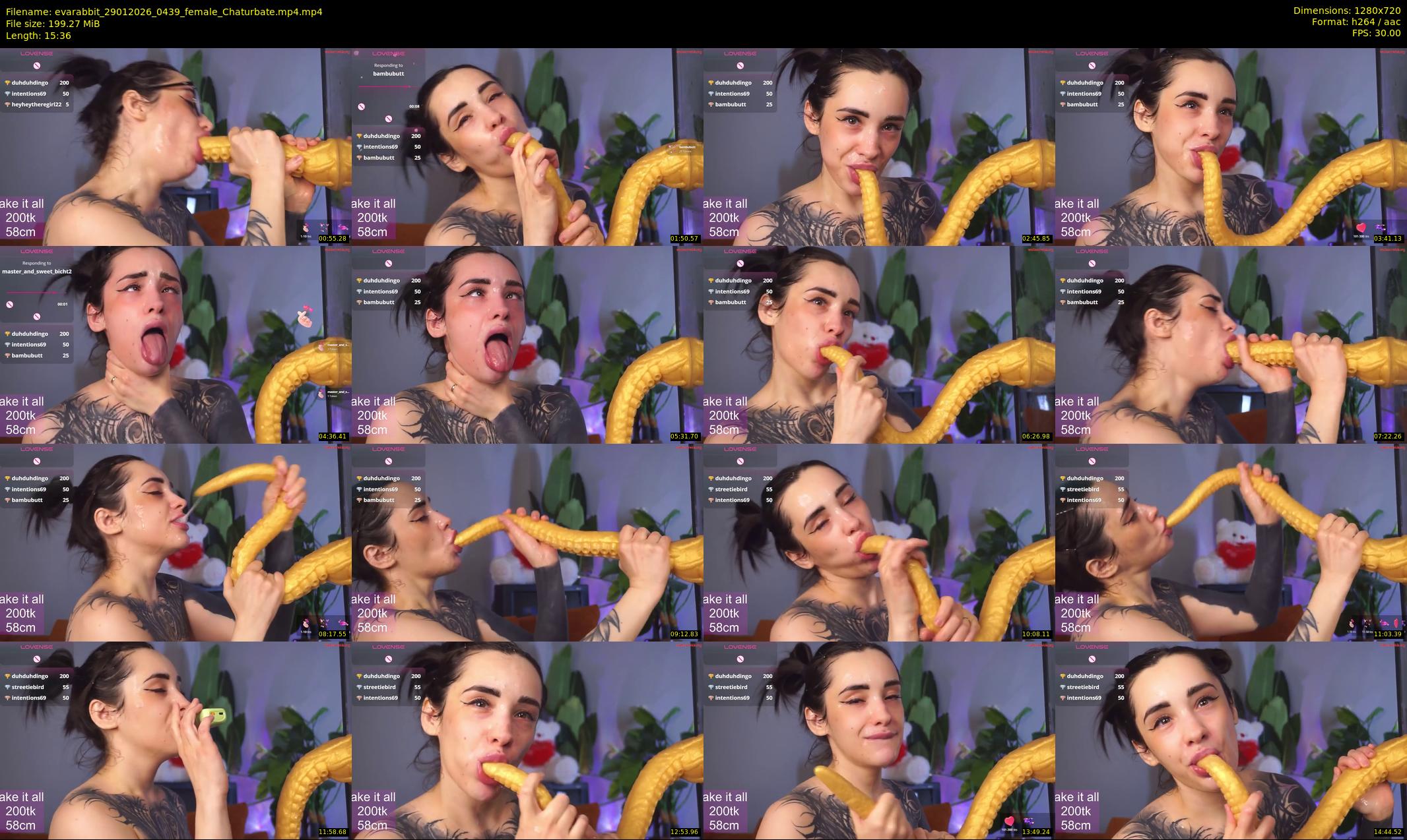 evarabbit — 16 minute Chaturbate female cam show recording, 720p, Jan 29, 2026