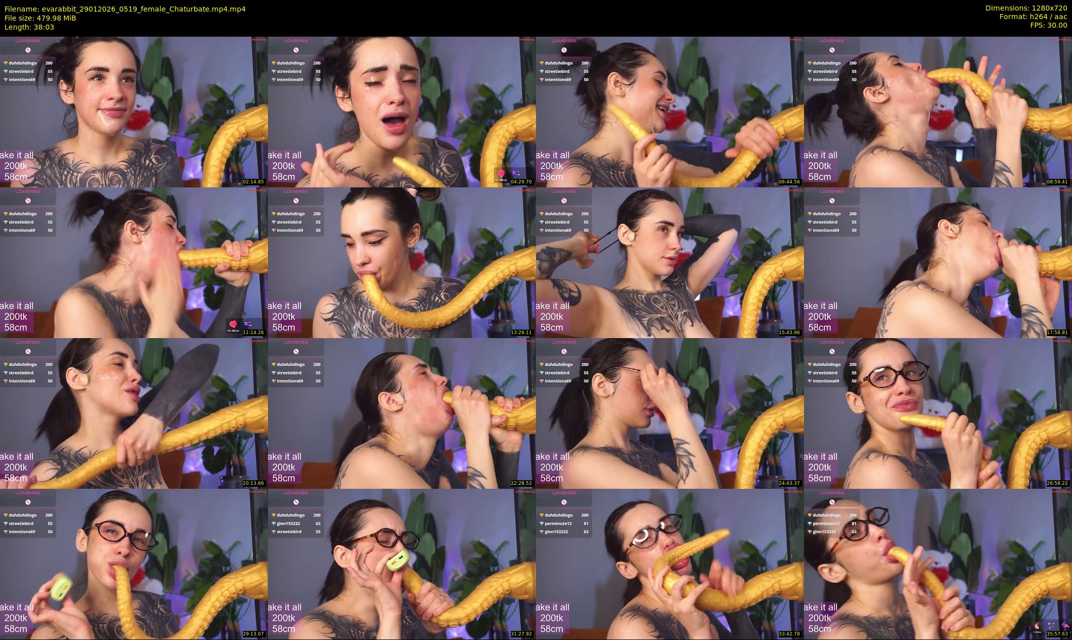 evarabbit — 39 minute Chaturbate female cam show recording, 720p, Jan 29, 2026