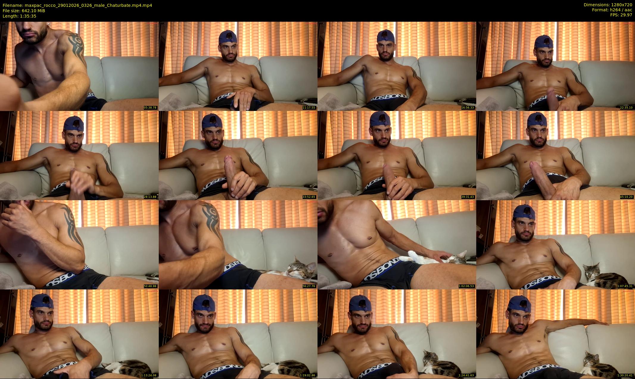 maxpac_rocco — 96 minute Chaturbate male cam show recording, 720p, Jan 29, 2026