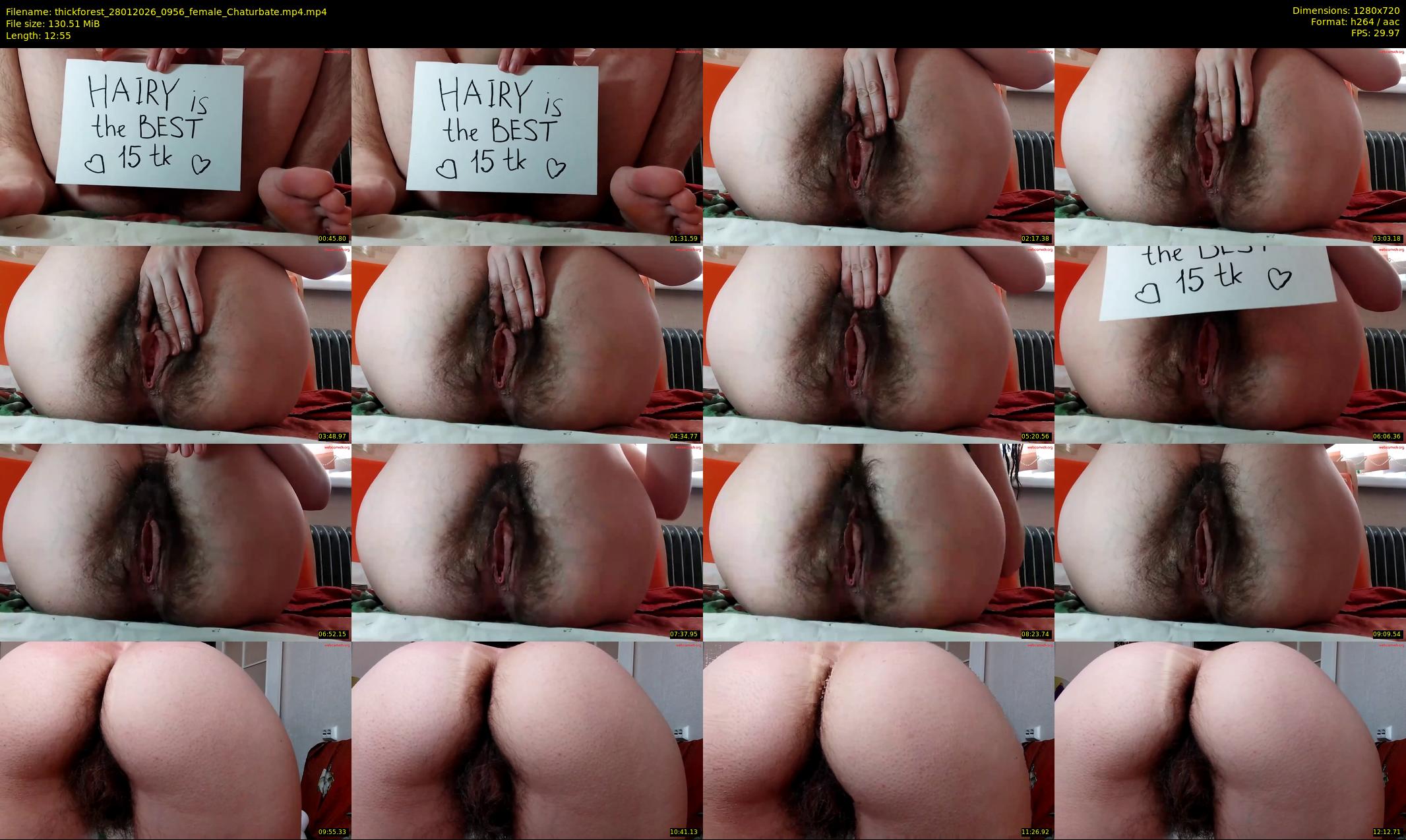 thickforest — 13 minute Chaturbate female cam show recording, 720p, Jan 28, 2026