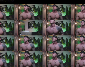 thomas_falcon1 — 17 minute Chaturbate male cam show recording, 720p, Jan 28, 2026