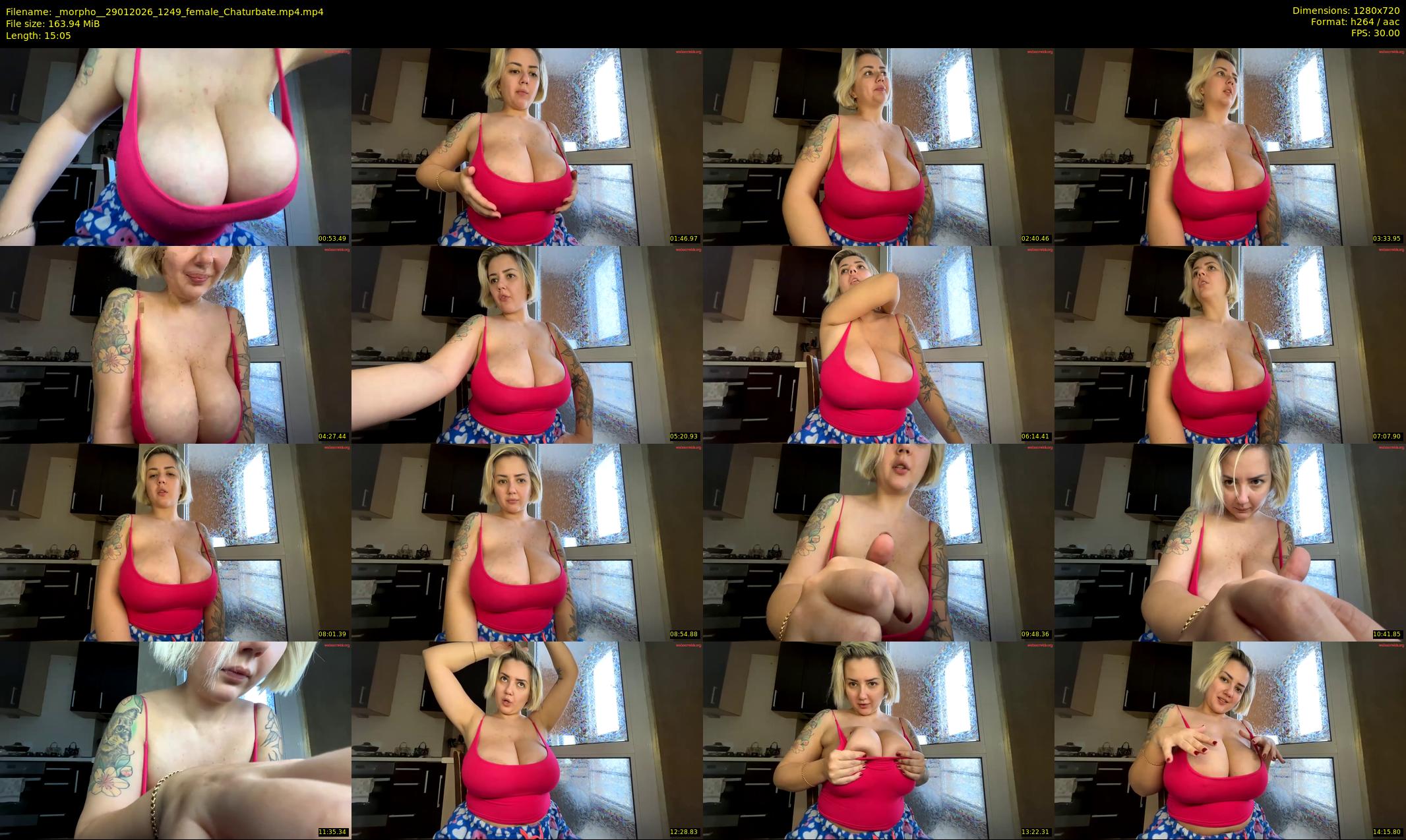 _morpho_ — 16 minute Chaturbate female cam show recording, 720p, Jan 29, 2026