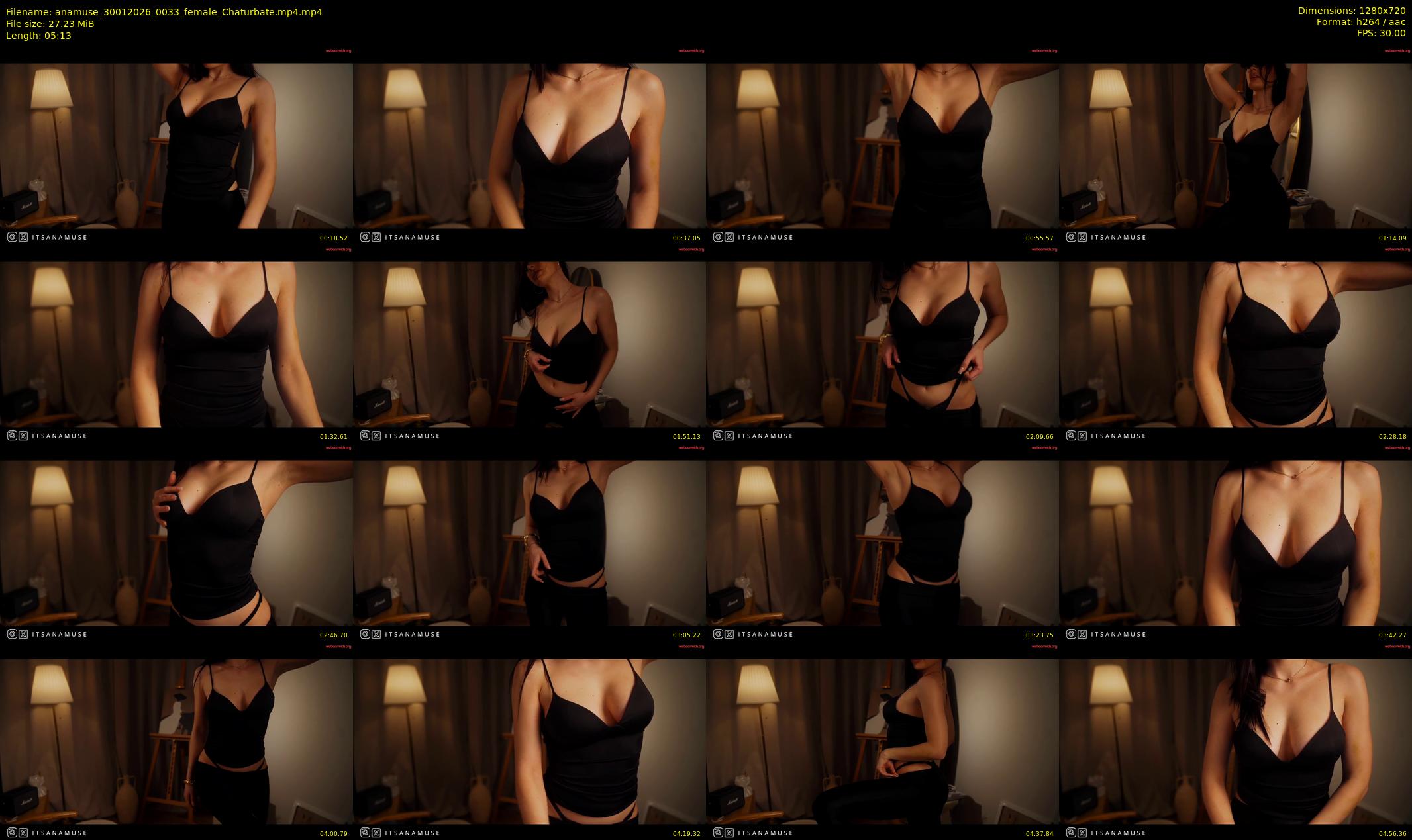 anamuse — 6 minute Chaturbate female cam show recording, 720p, Jan 30, 2026