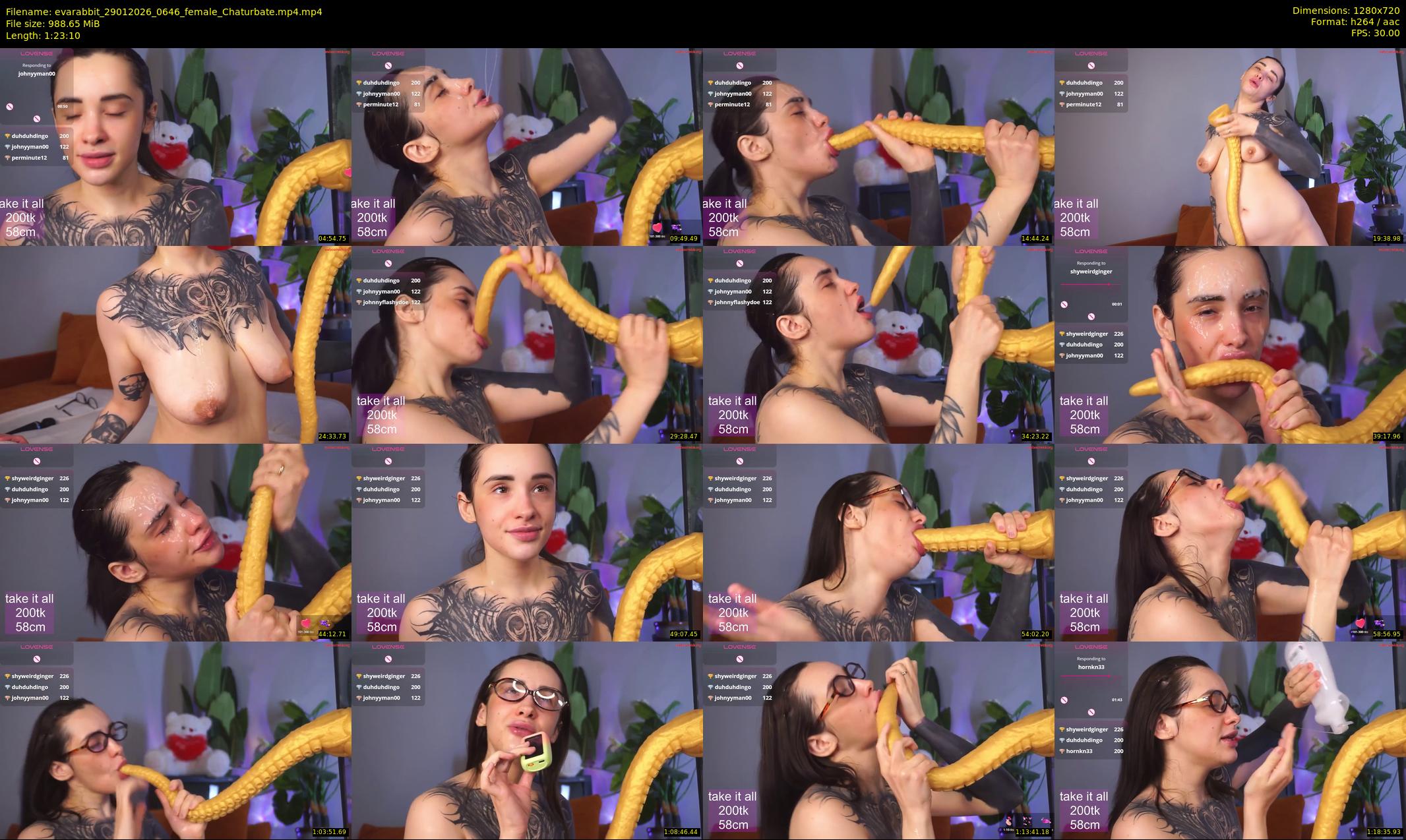 evarabbit — 84 minute Chaturbate female cam show recording, 720p, Jan 29, 2026