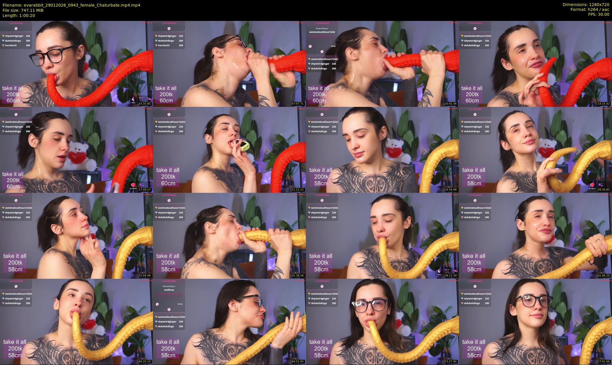 evarabbit — 61 minute Chaturbate female cam show recording, 720p, Jan 29, 2026