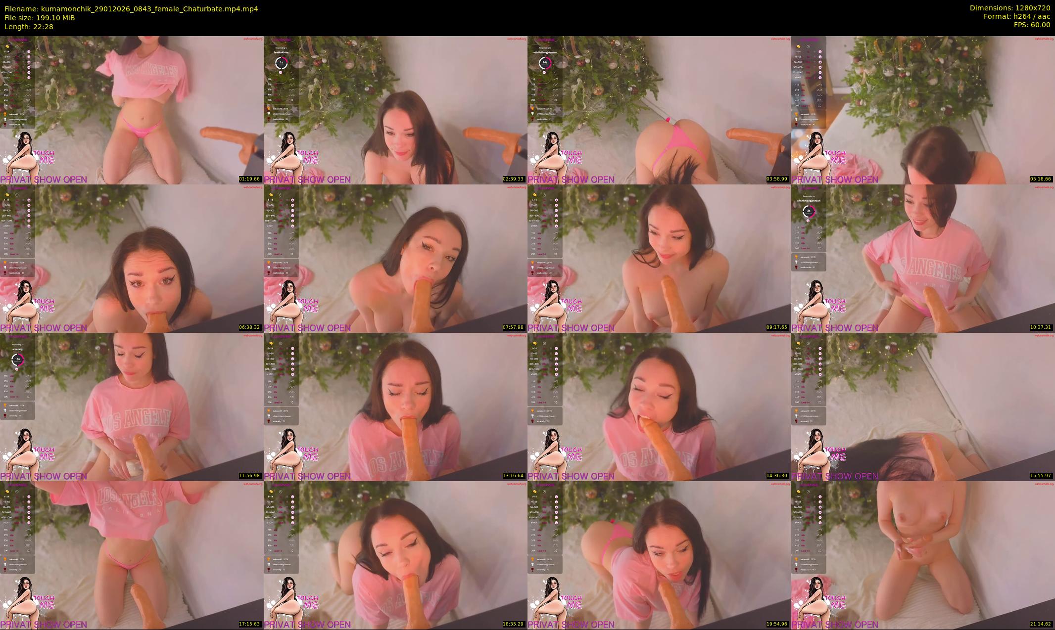 kumamonchik — 23 minute Chaturbate couple cam show recording, 720p, Jan 29, 2026