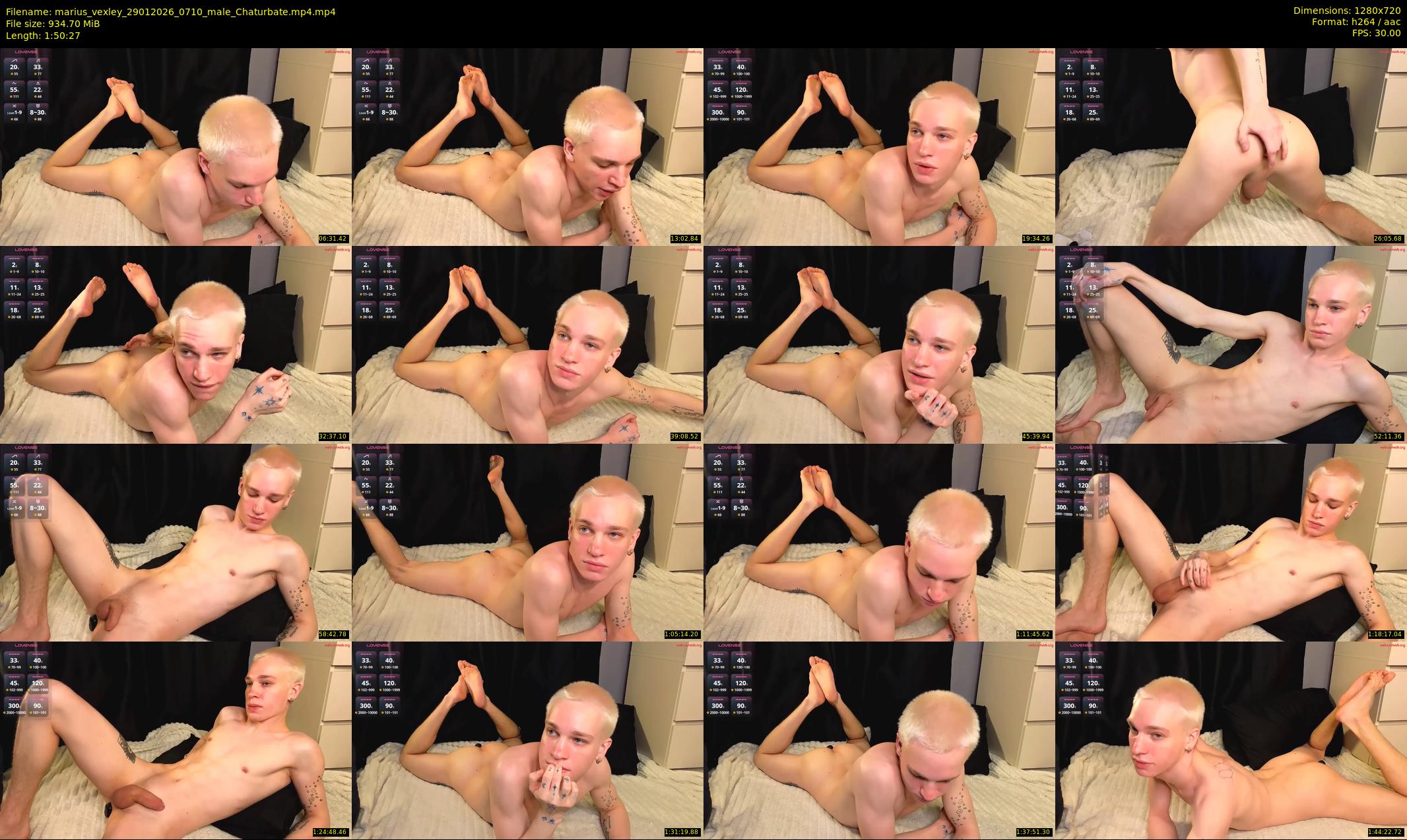 marius_vexley — 111 minute Chaturbate male cam show recording, 720p, Jan 29, 2026